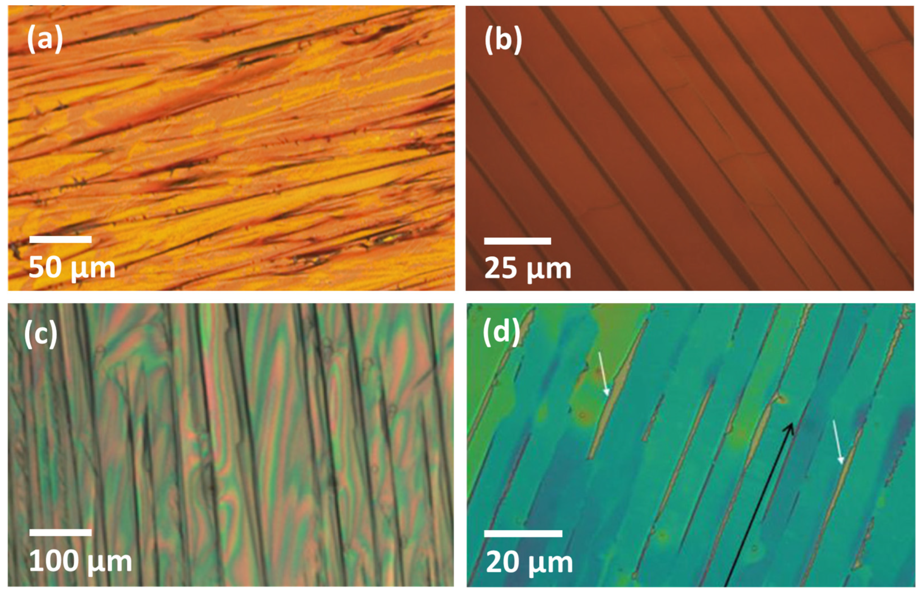Processes 12 01944 g001