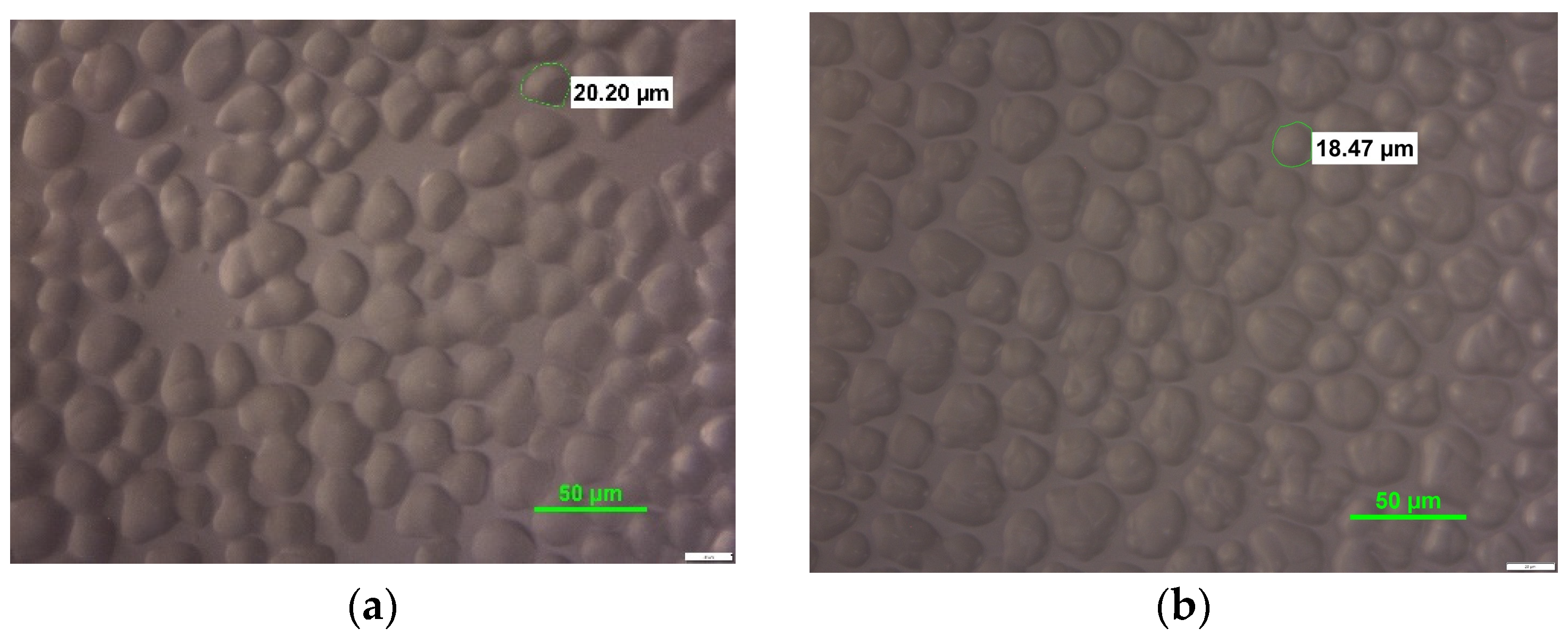 Processes 12 01957 g006
