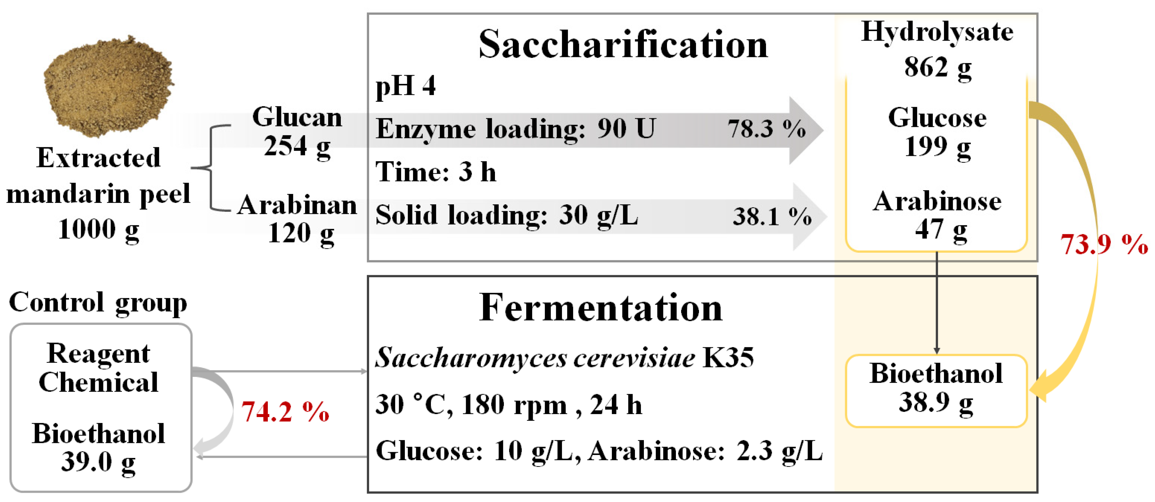 Processes 12 01960 g005