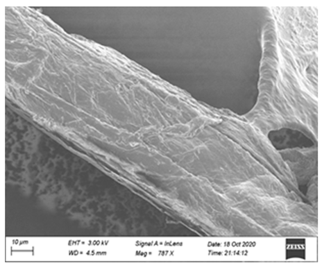 Processes 12 01997 i001 Processes 12 01997 i001