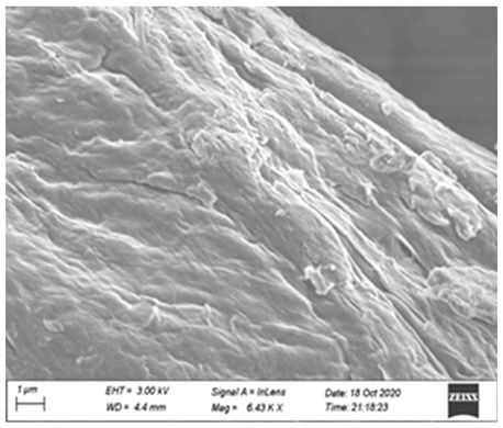 Processes 12 01997 i002 Processes 12 01997 i002