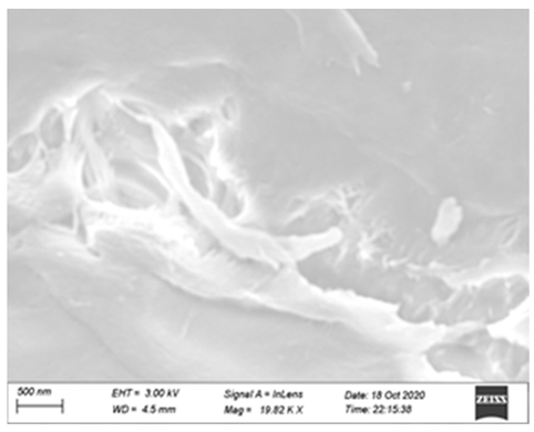 Processes 12 01997 i012 Processes 12 01997 i012