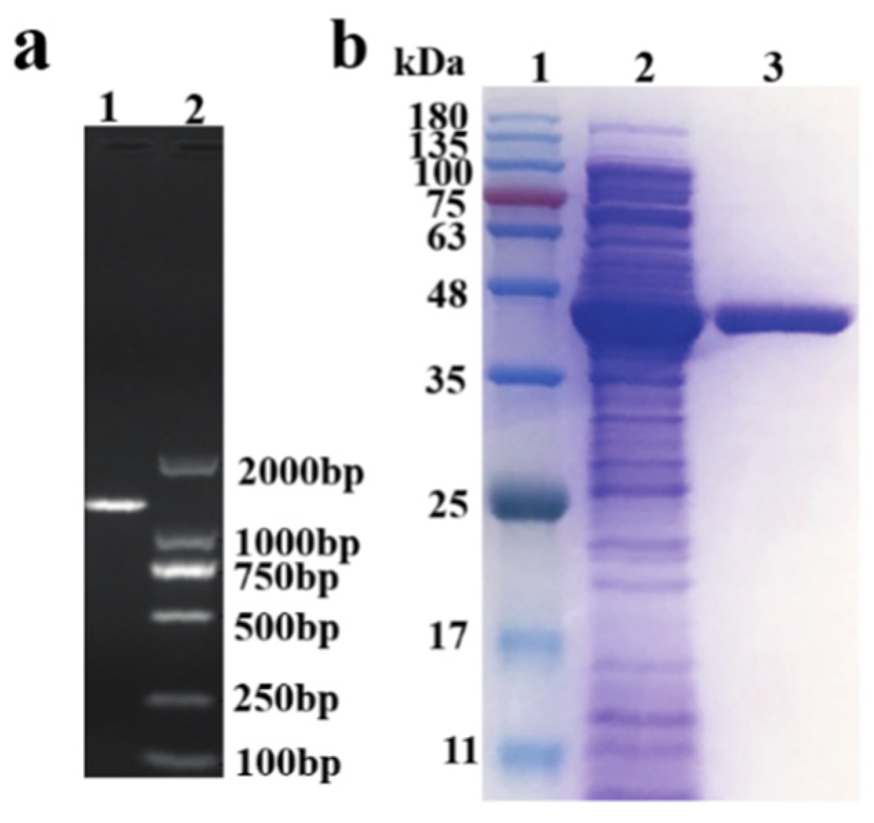 Processes 12 02006 g001