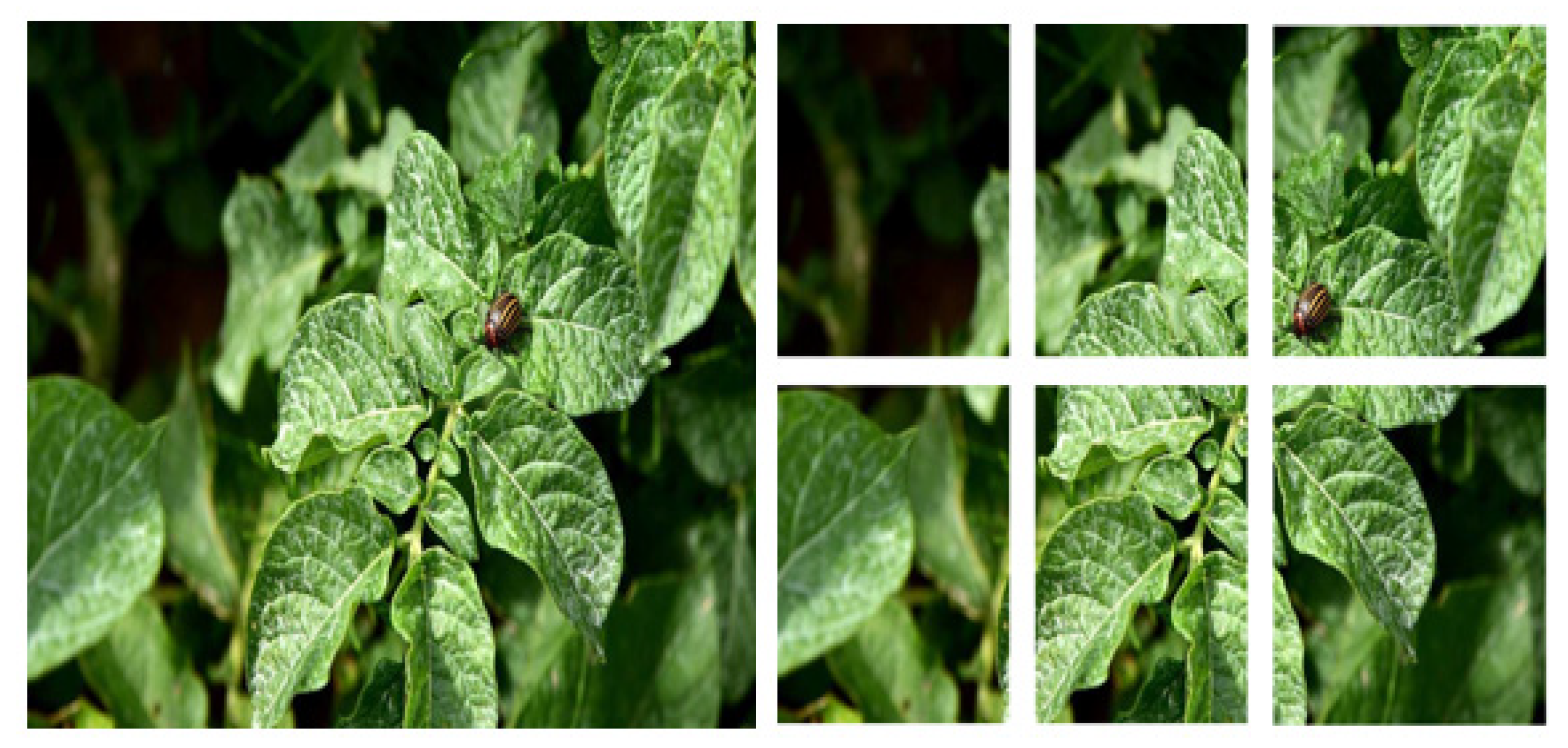 Processes 12 02038 g002