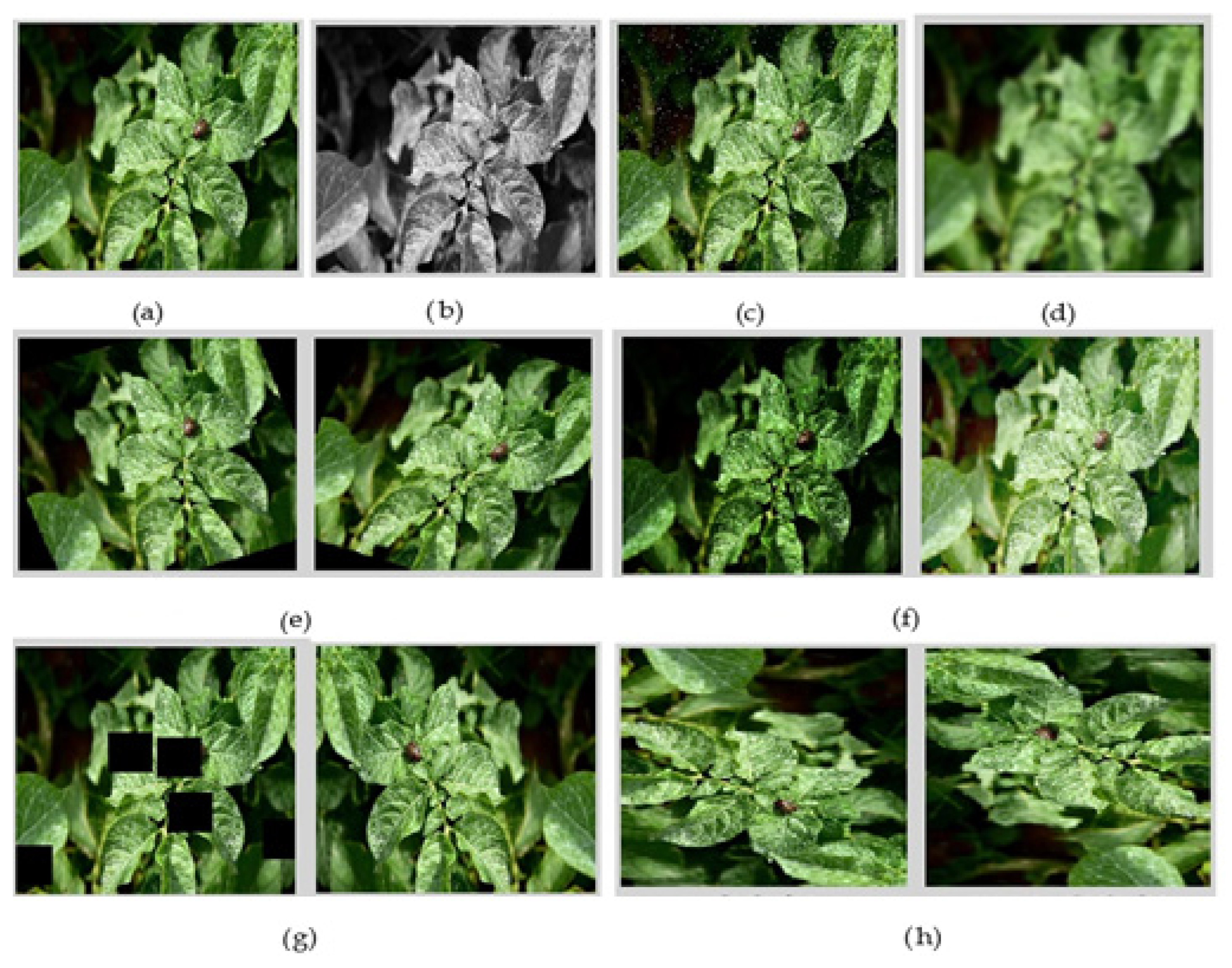 Processes 12 02038 g007