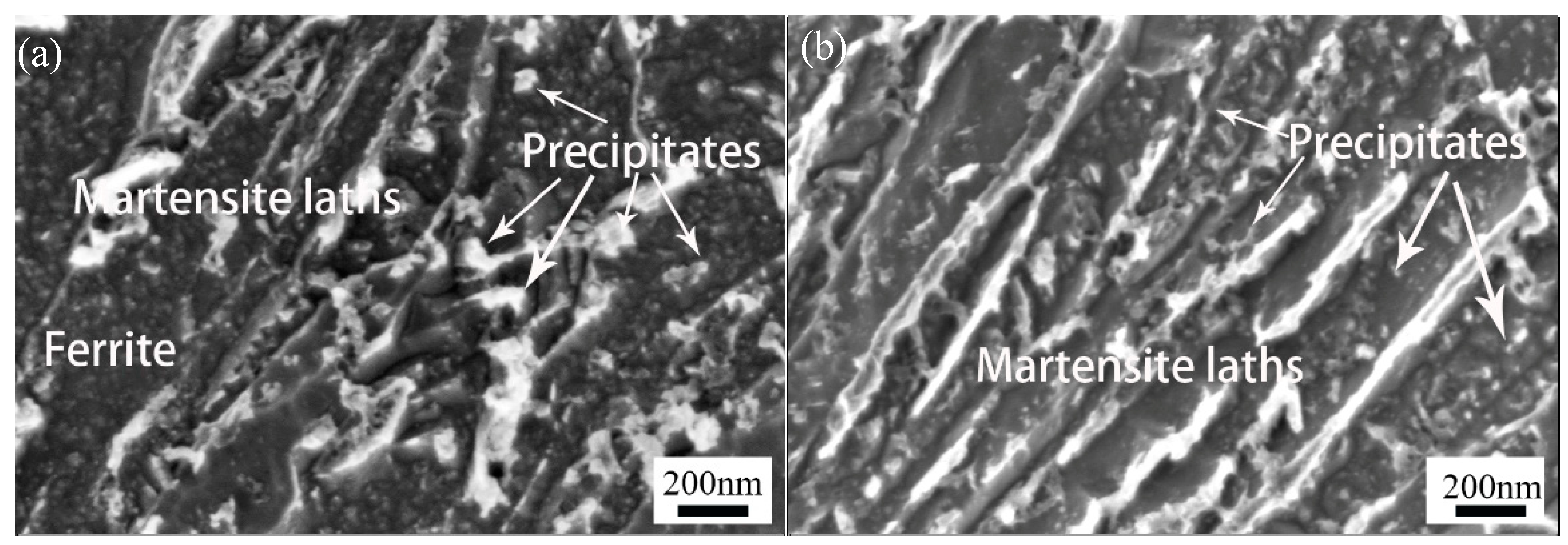 Processes 12 02039 g012