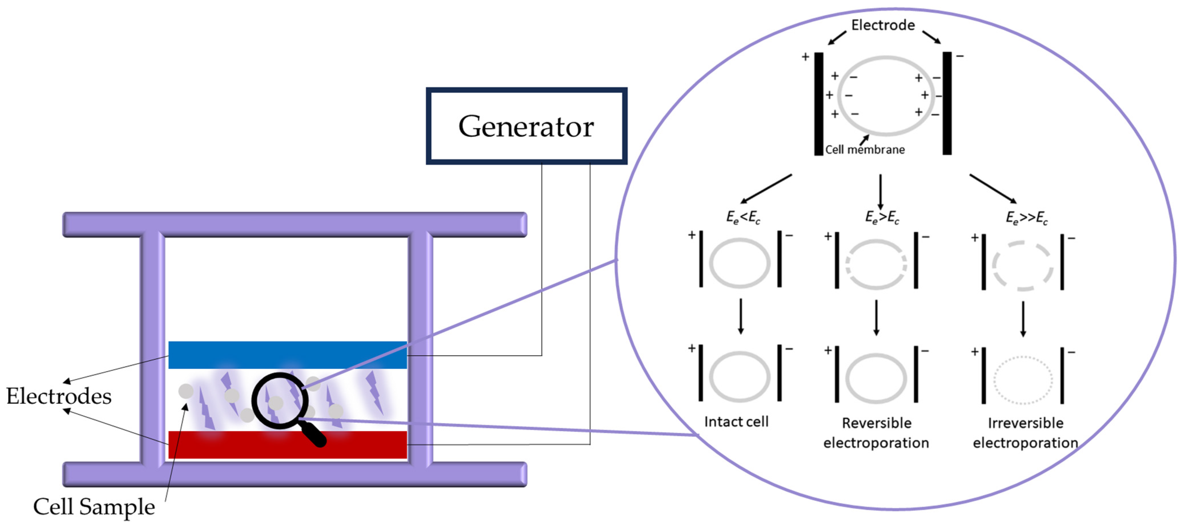 Processes 12 02059 g004