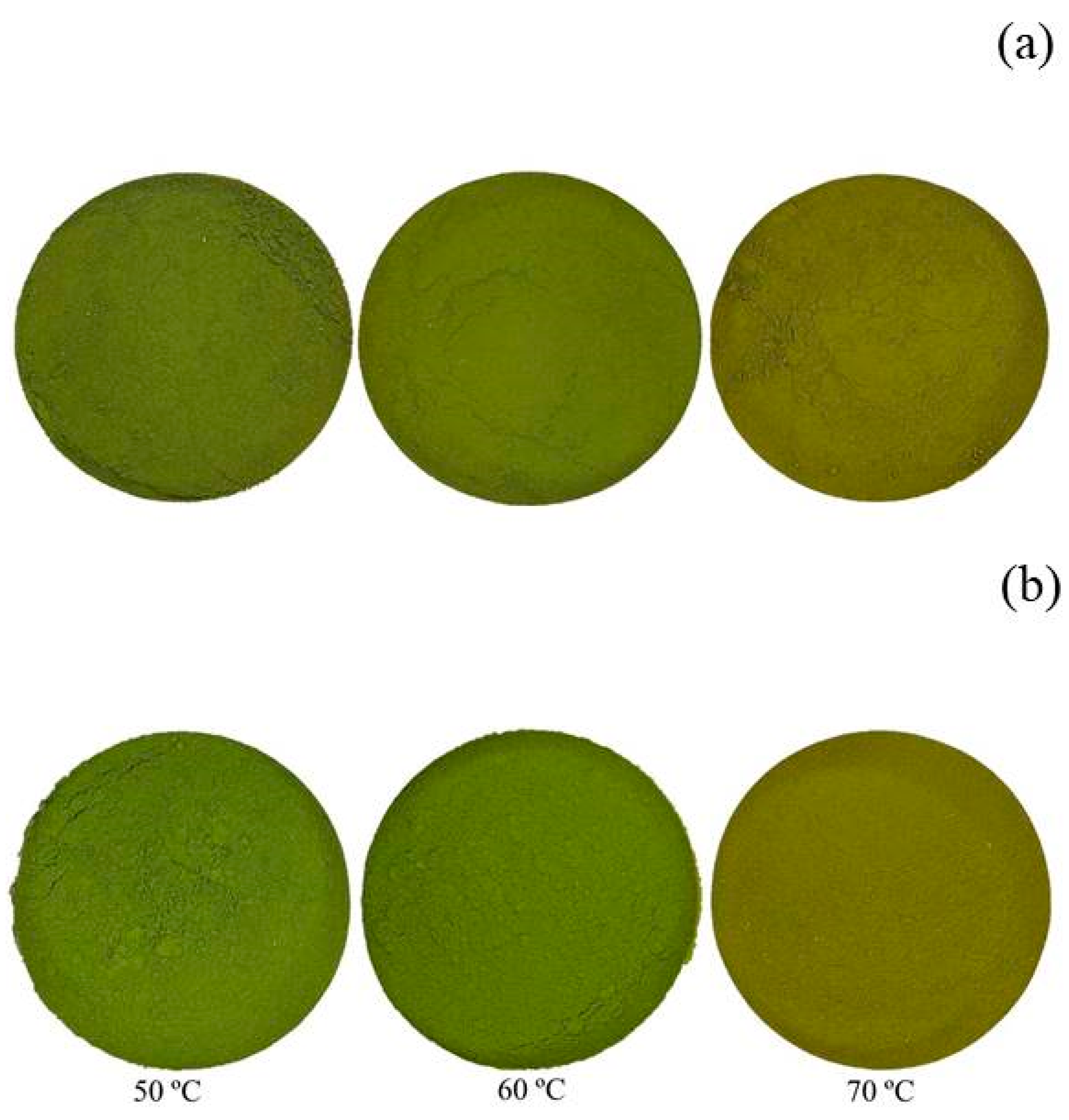 Processes 12 02077 g003