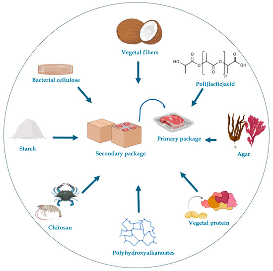 Innovations in Food Packaging: From Bio-Based Materials to Smart 