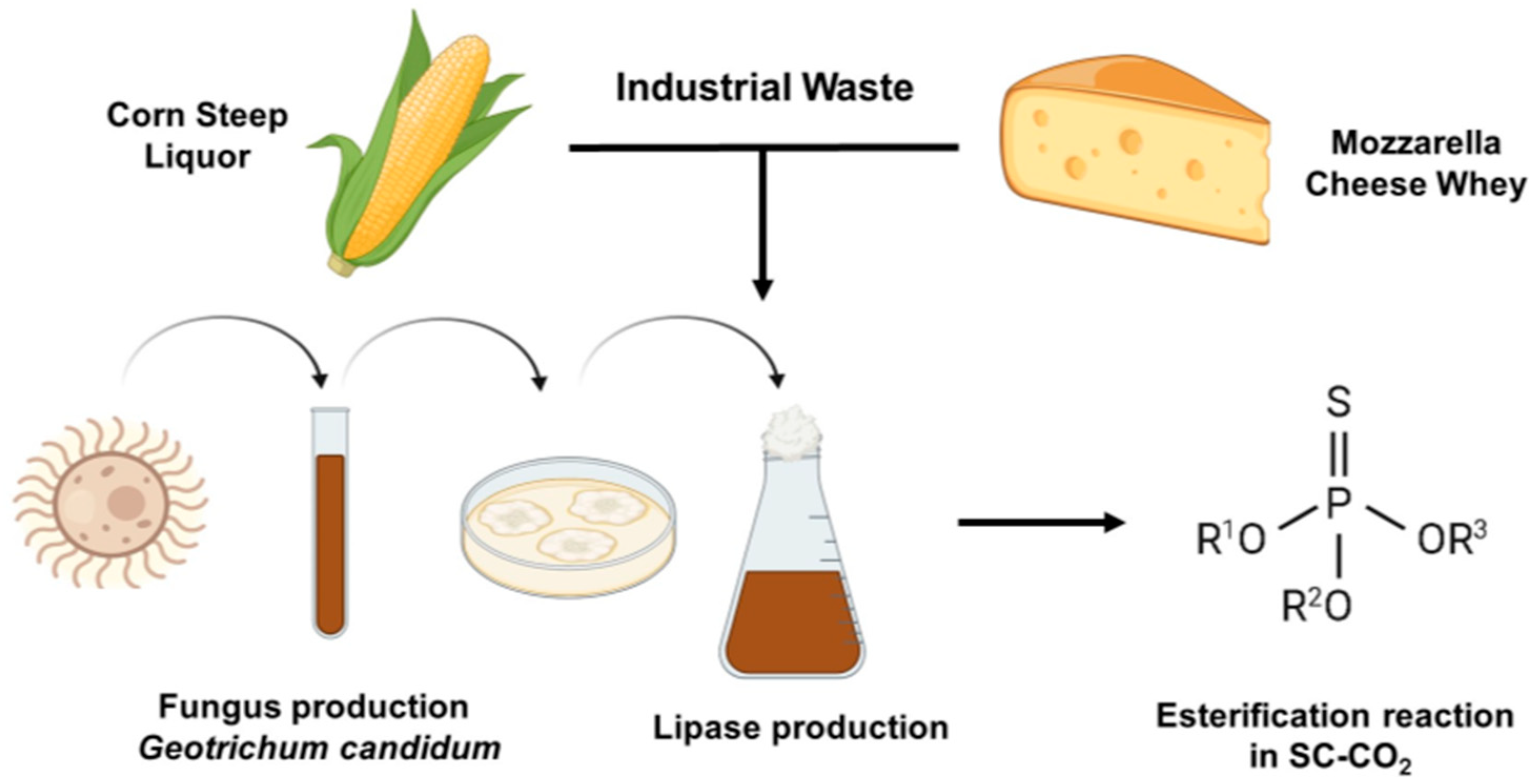 Processes 12 02086 g001