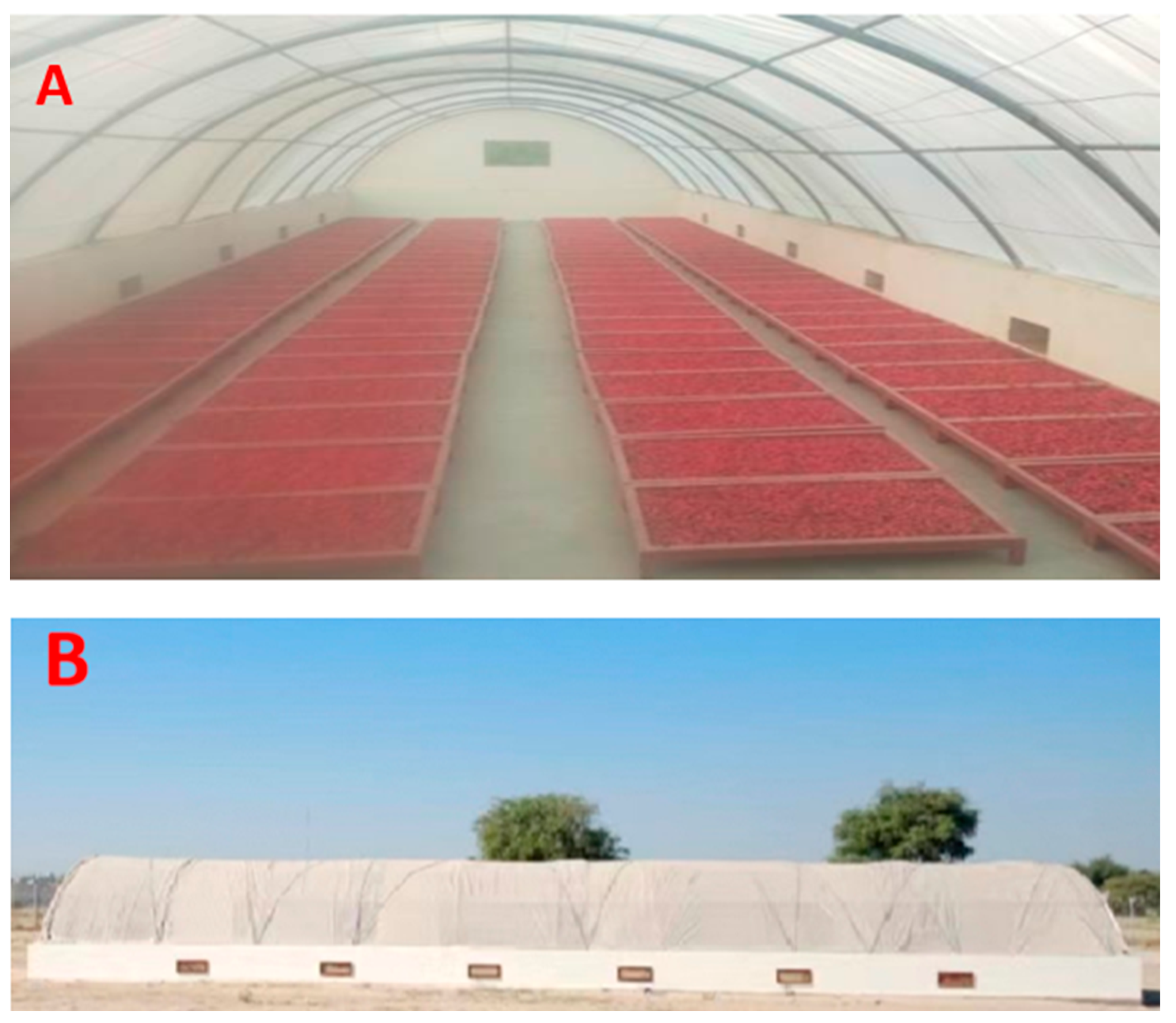 Processes 12 02104 g002