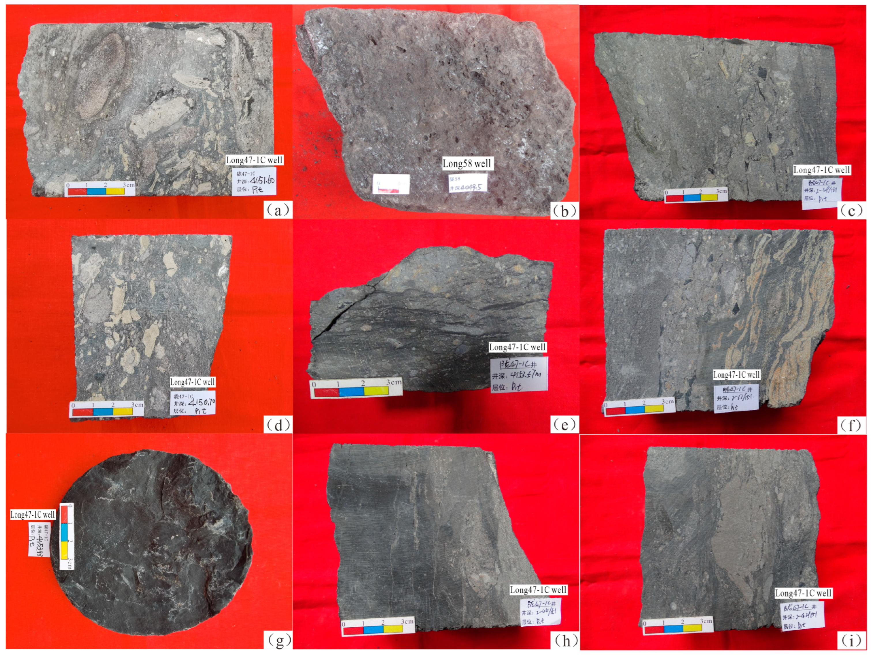 Processes 12 02123 g003