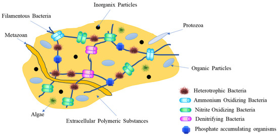 ははは Population Composition, Physiology and Ecology of