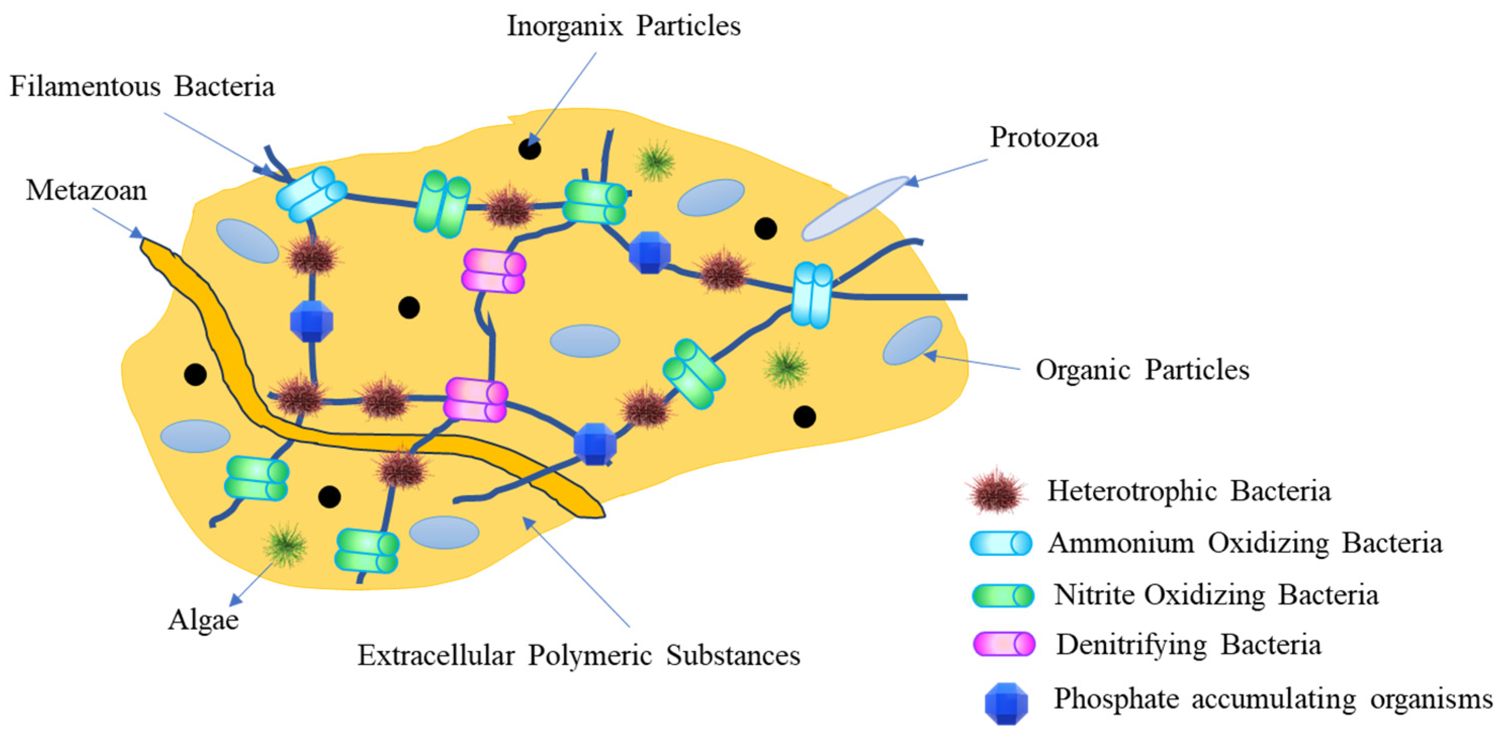 Population Composition, Physiology and Ecology of