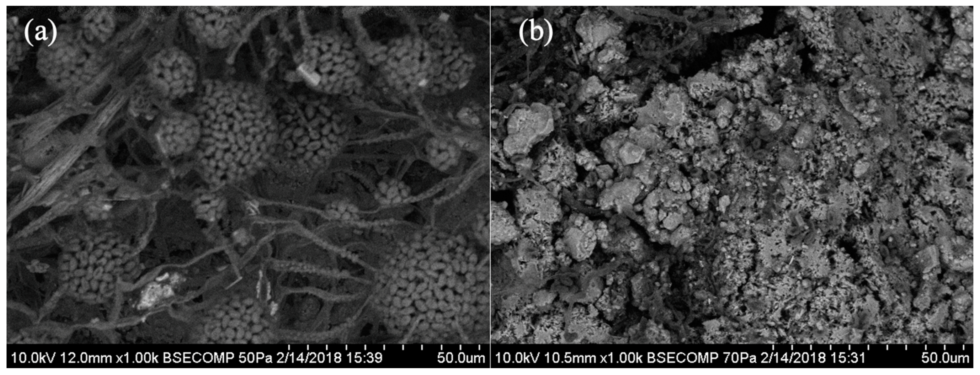 Processes 12 02188 g006