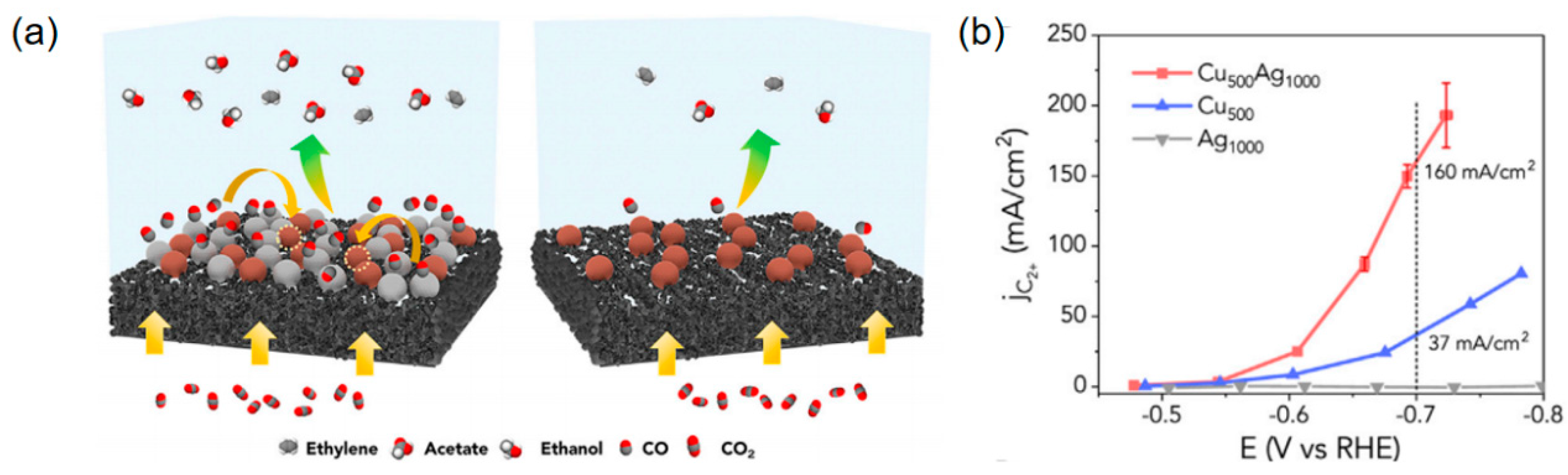 Processes 12 02205 g011
