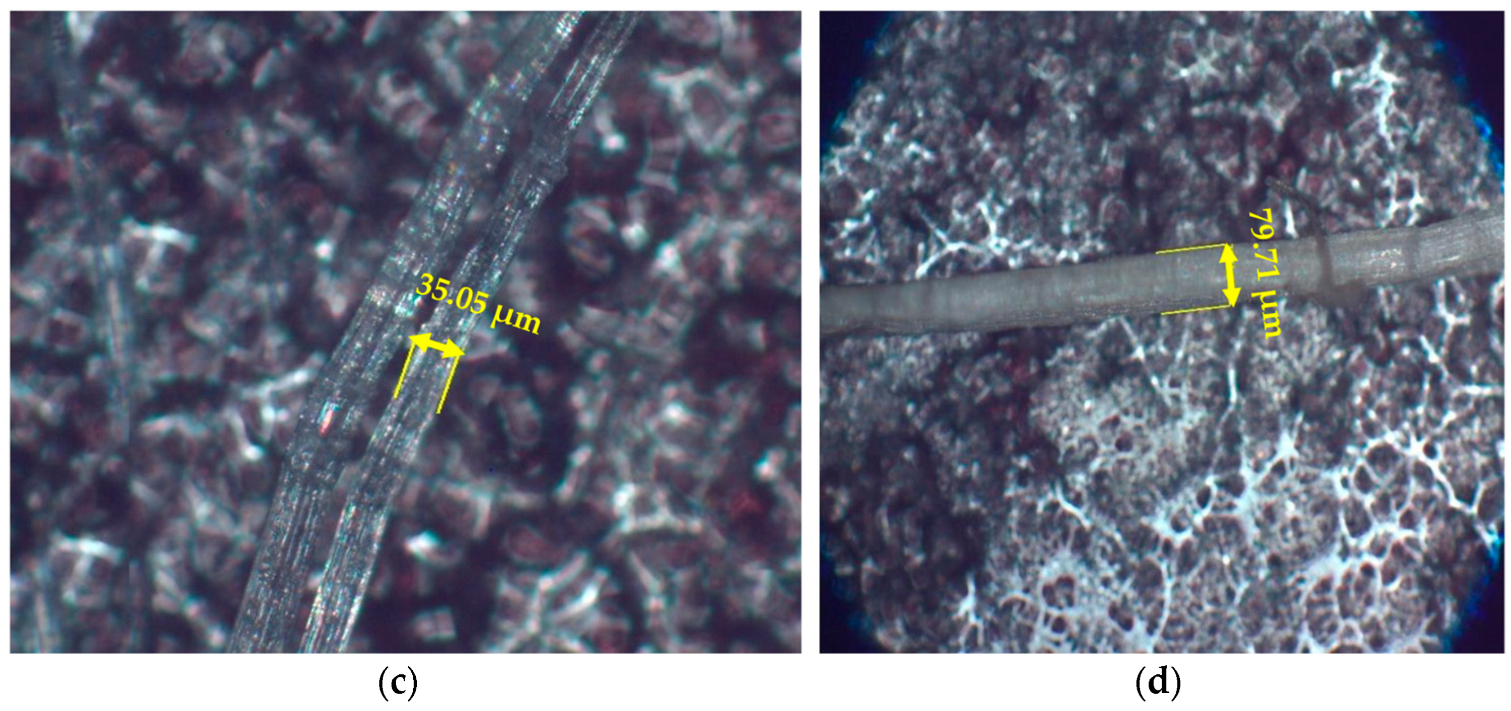 Processes 12 02217 g001b