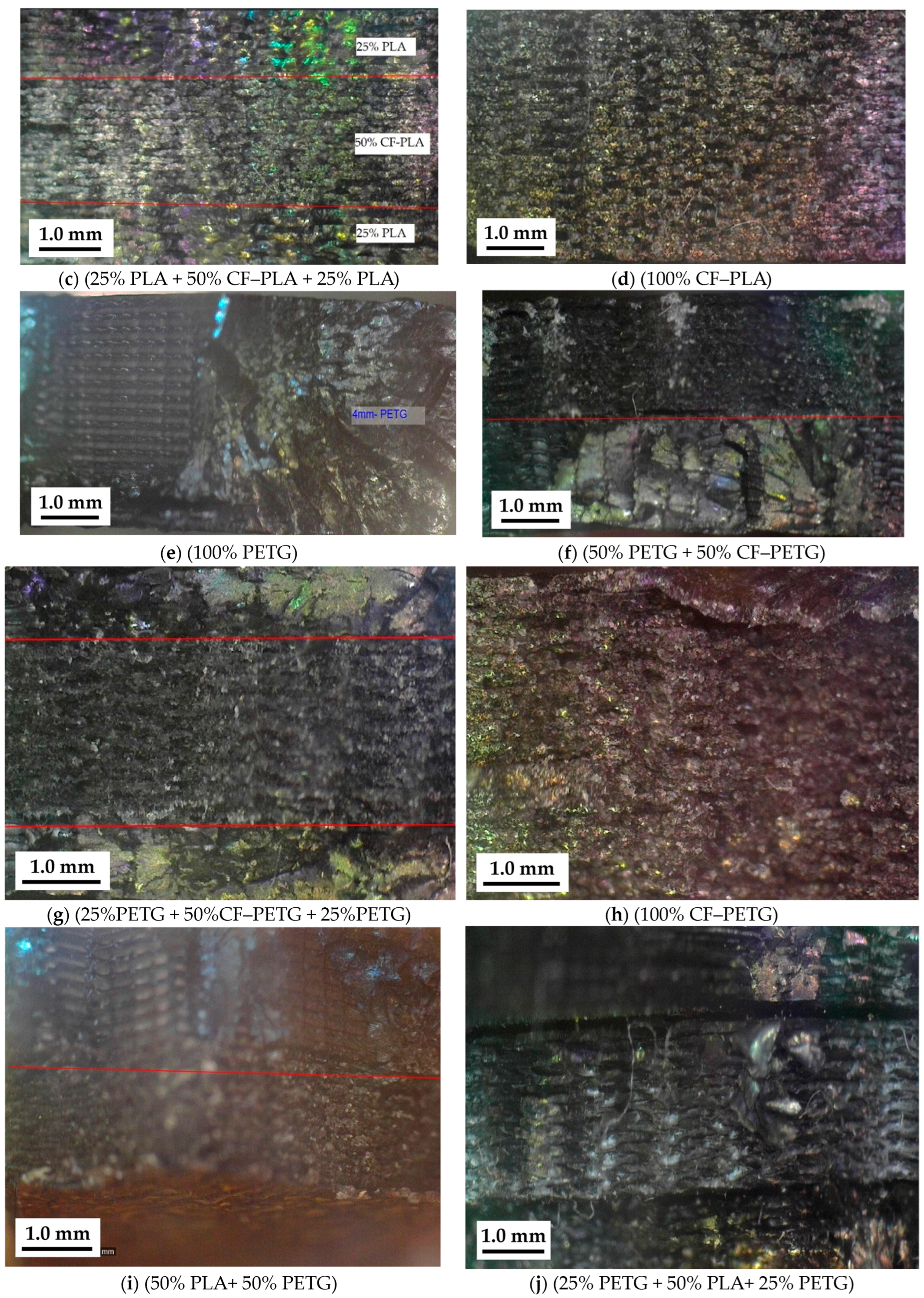 Processes 12 02217 g017b