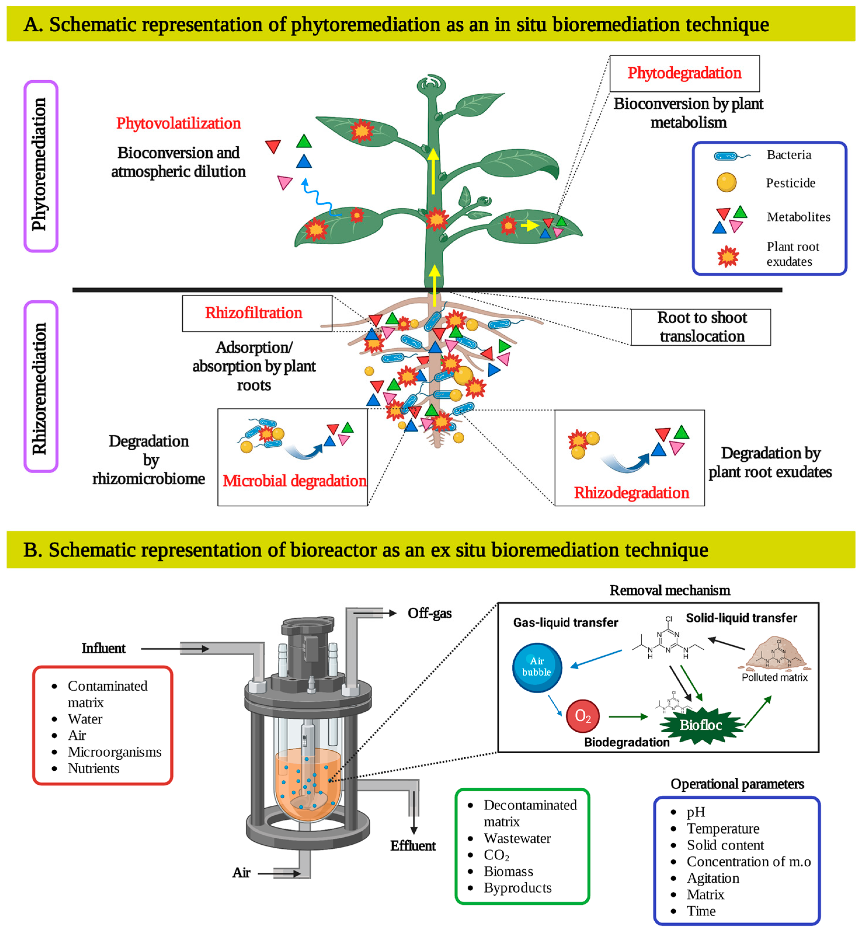 Processes 12 02223 g002
