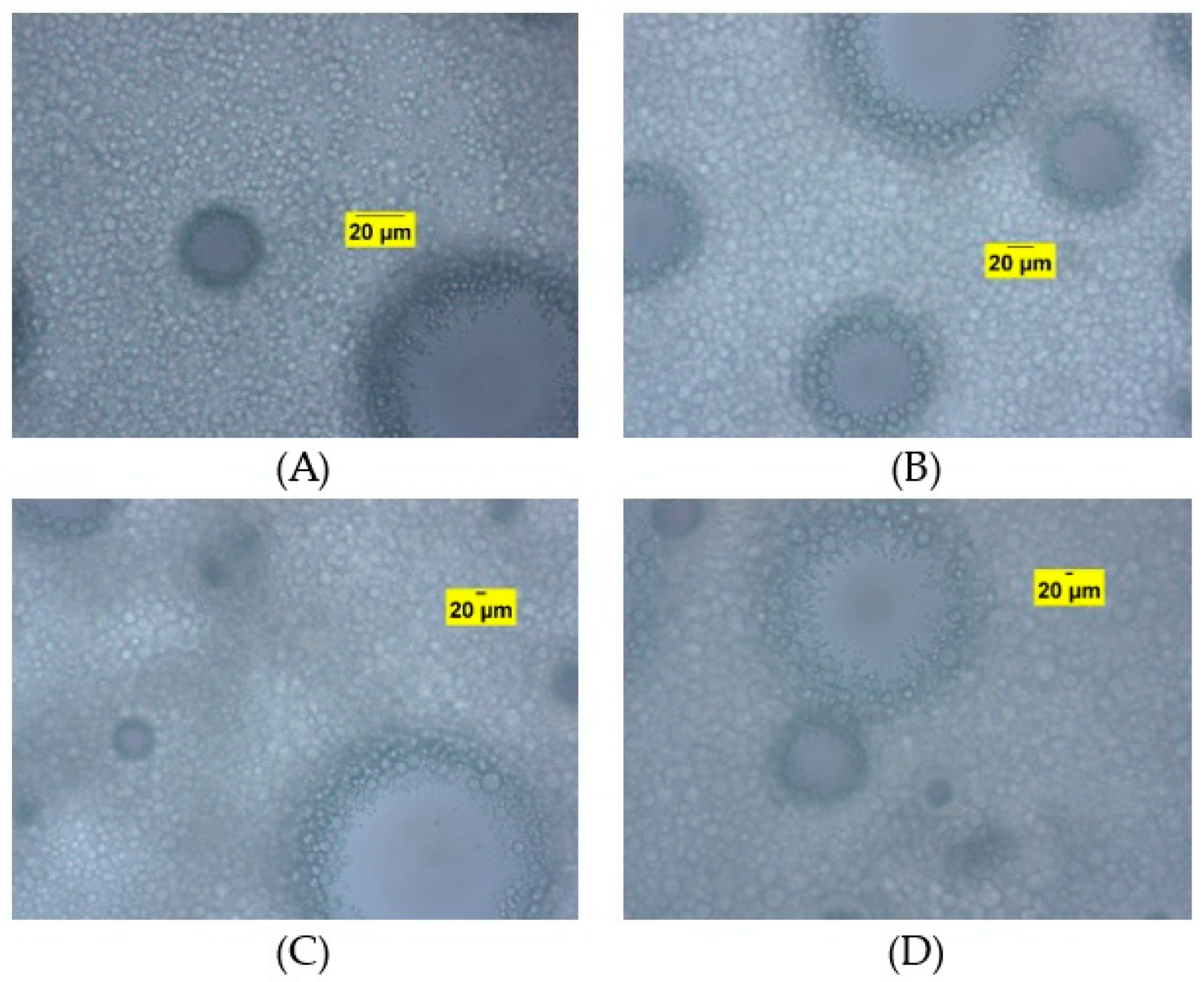 Processes 12 02230 g004