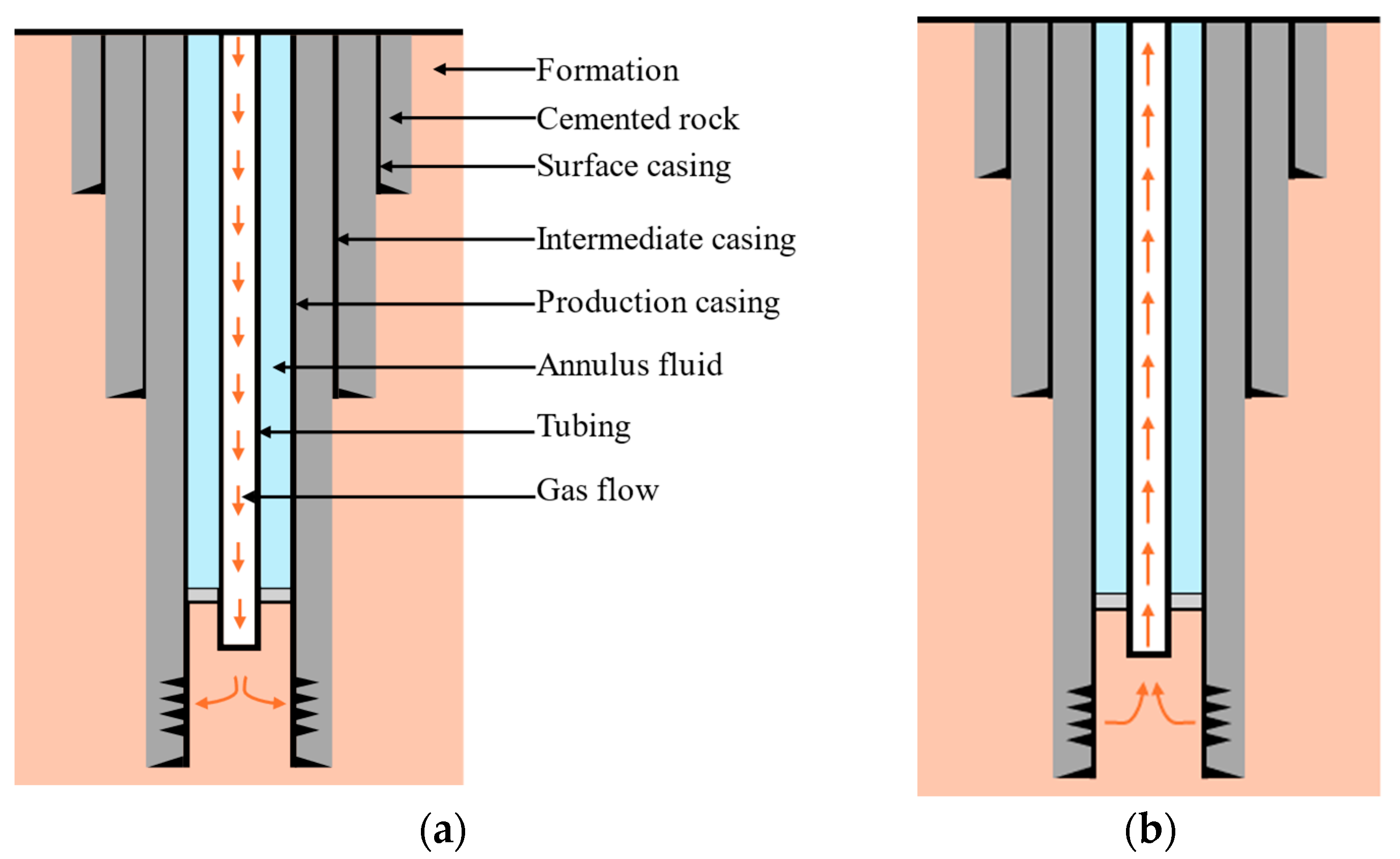 Processes 12 02236 g001