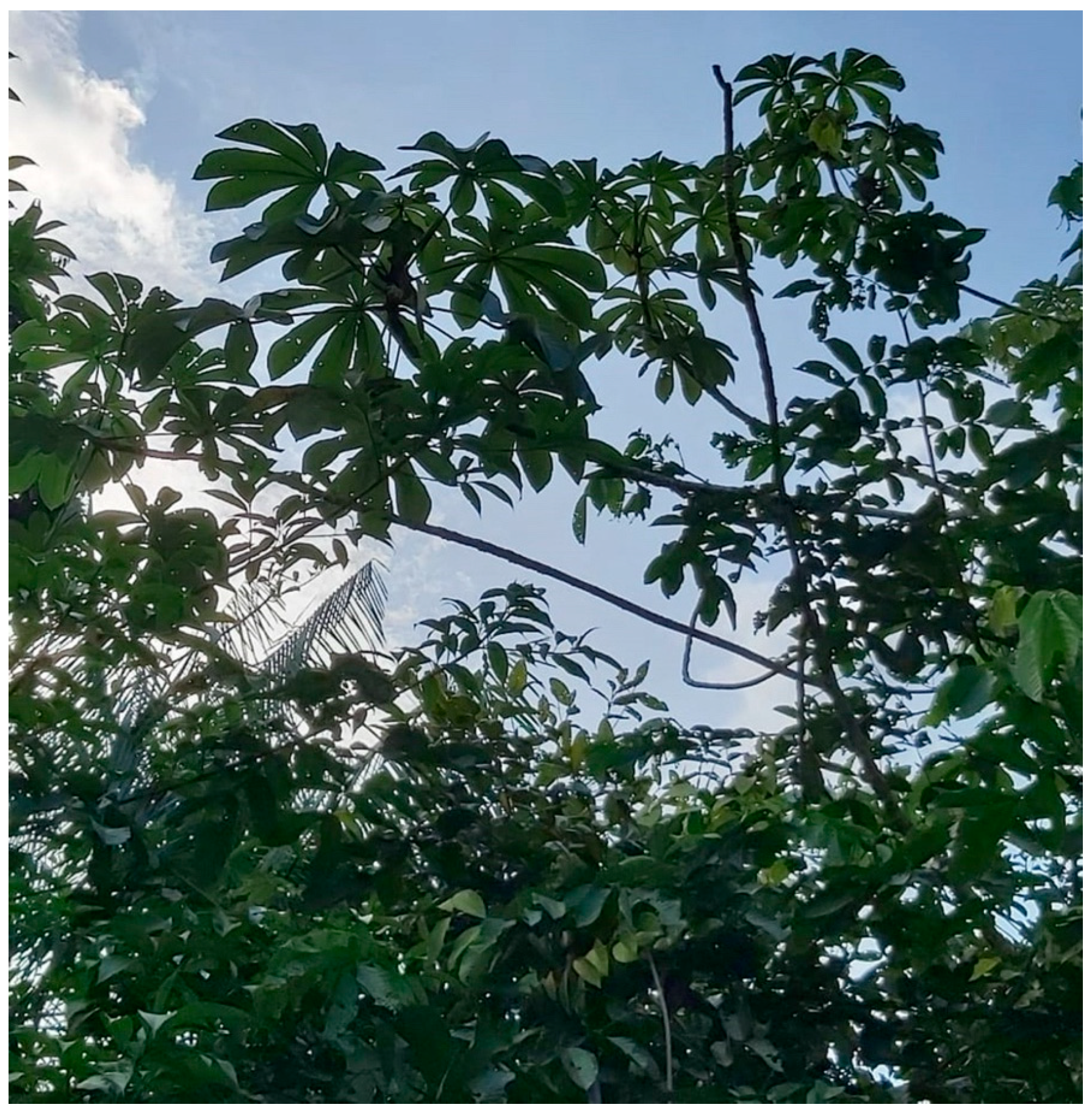 Processes 12 02237 g001