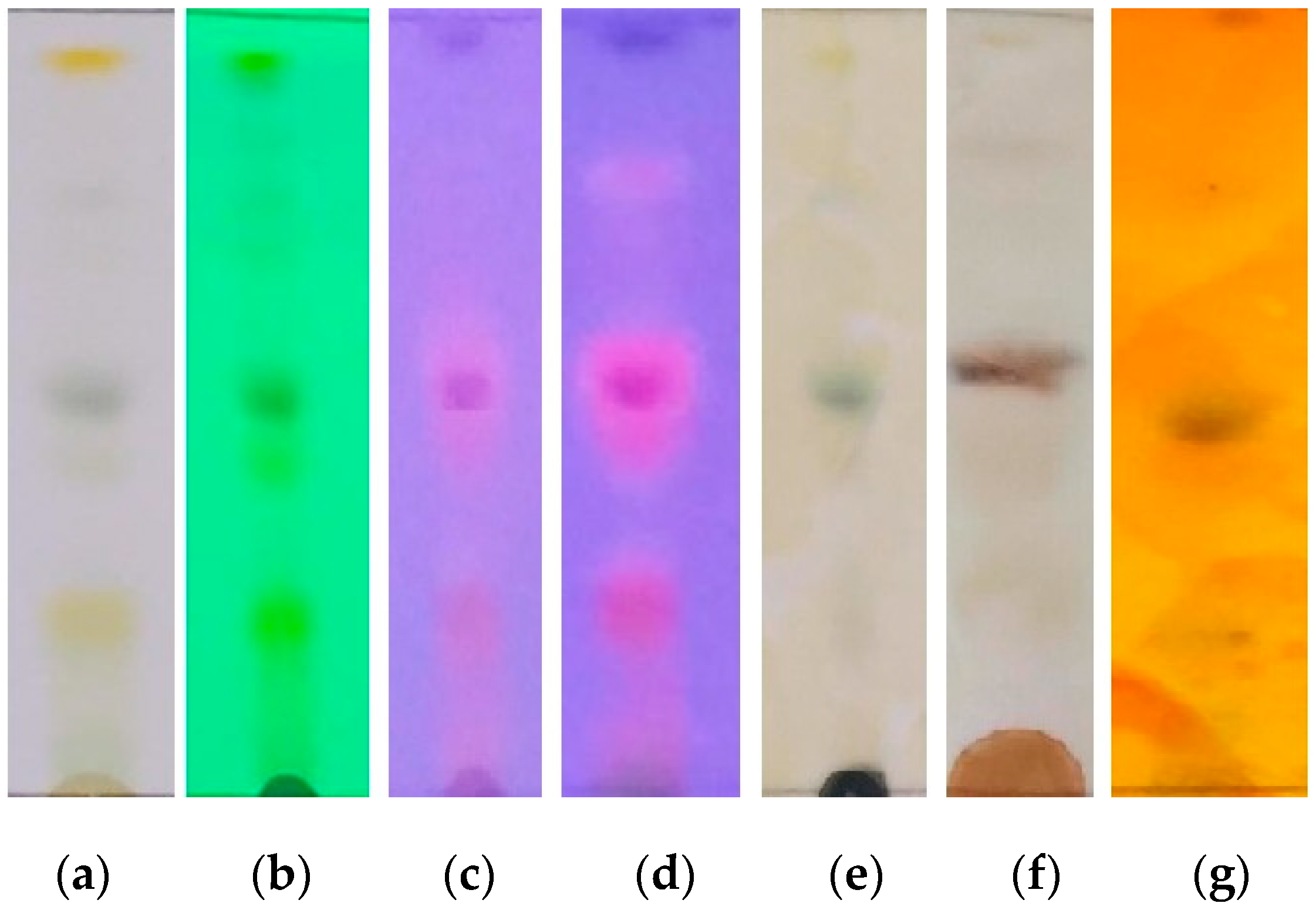Processes 12 02237 g002