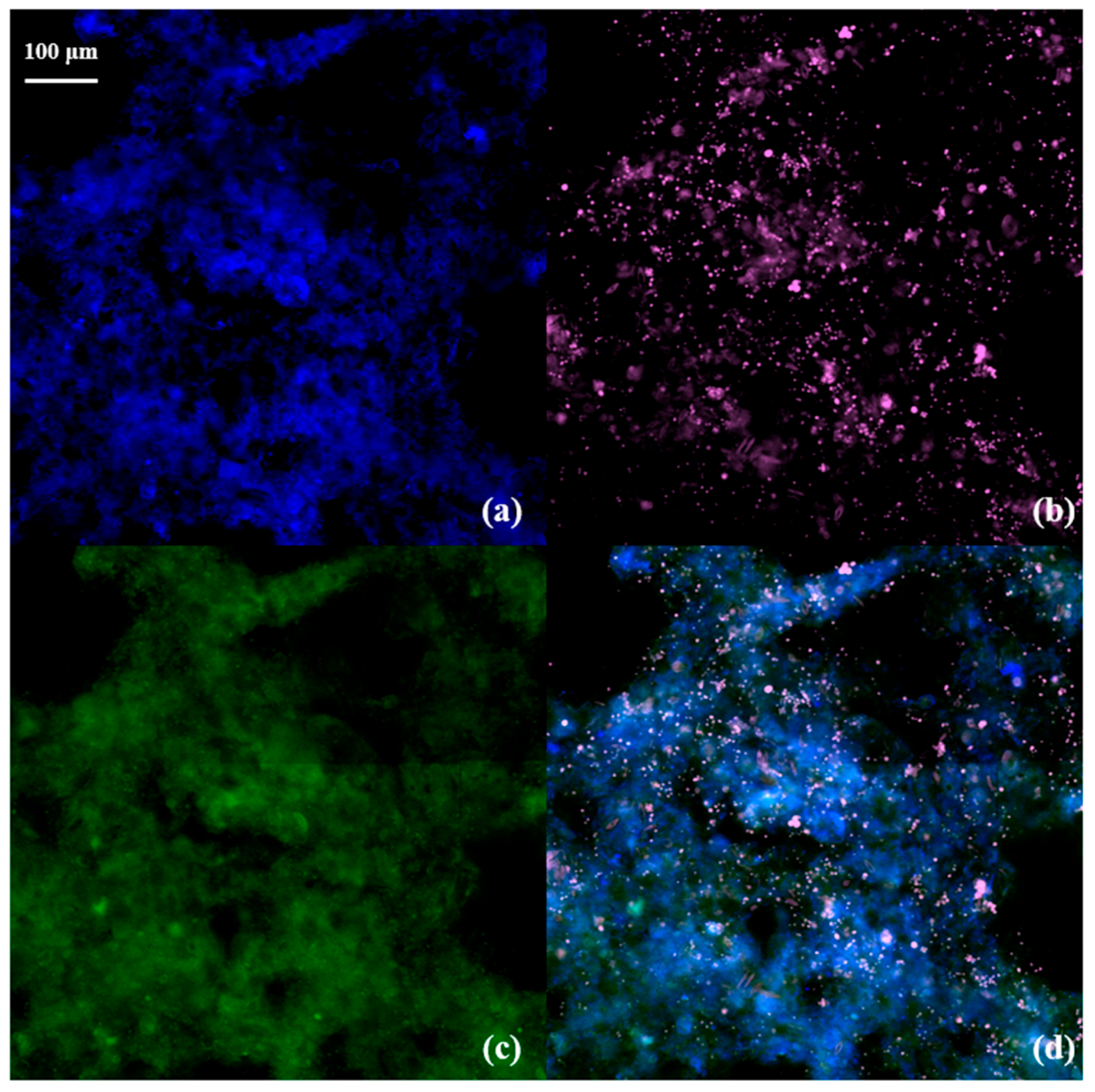 Processes 12 02261 g004