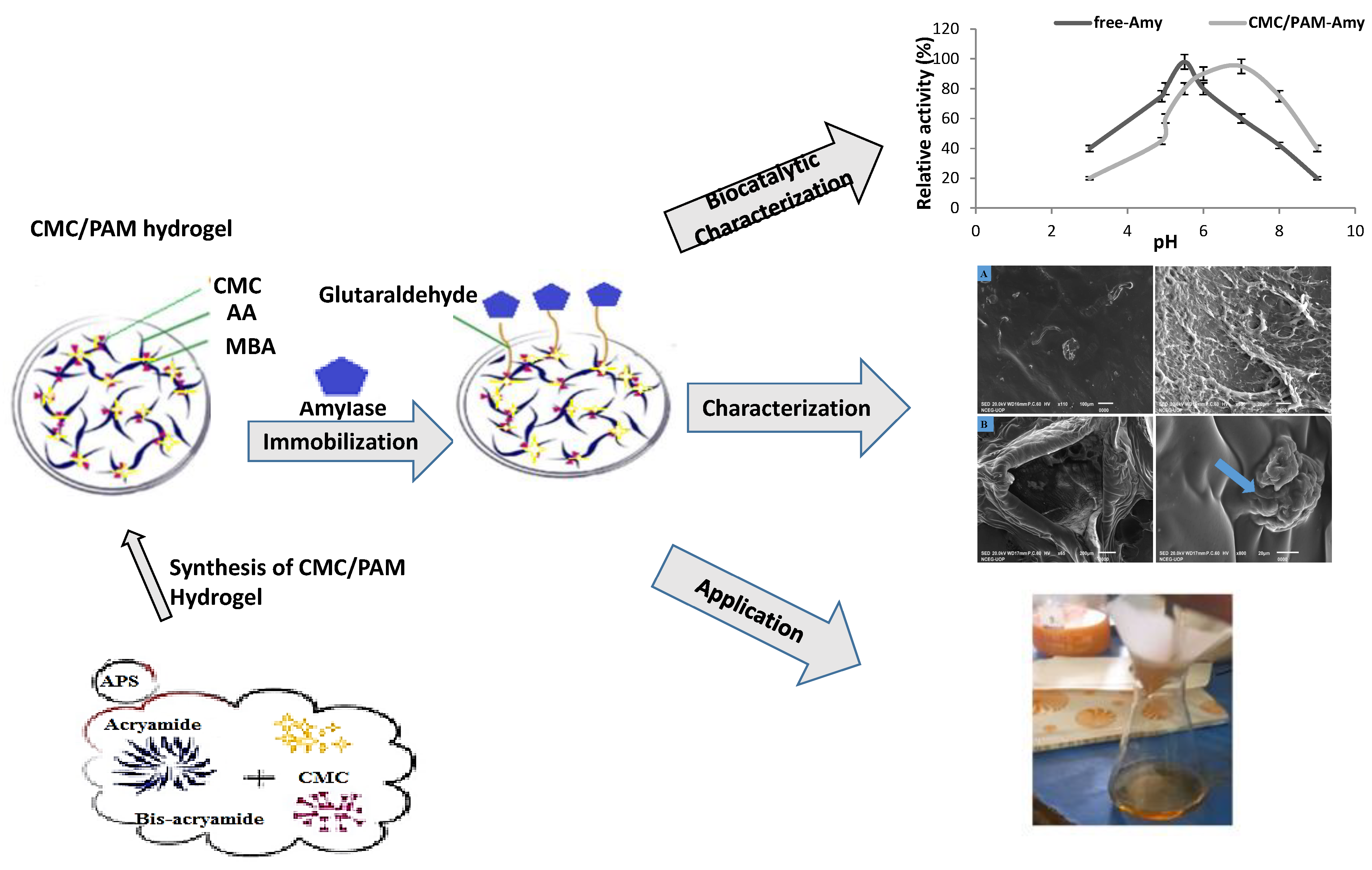 Processes 12 02264 sch001
