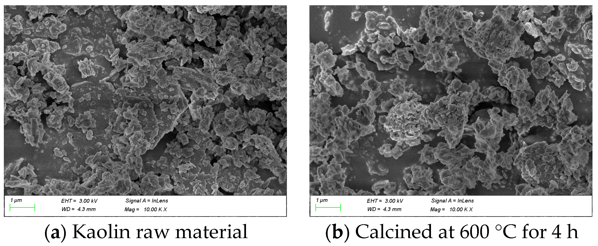 Processes 12 02268 g012a
