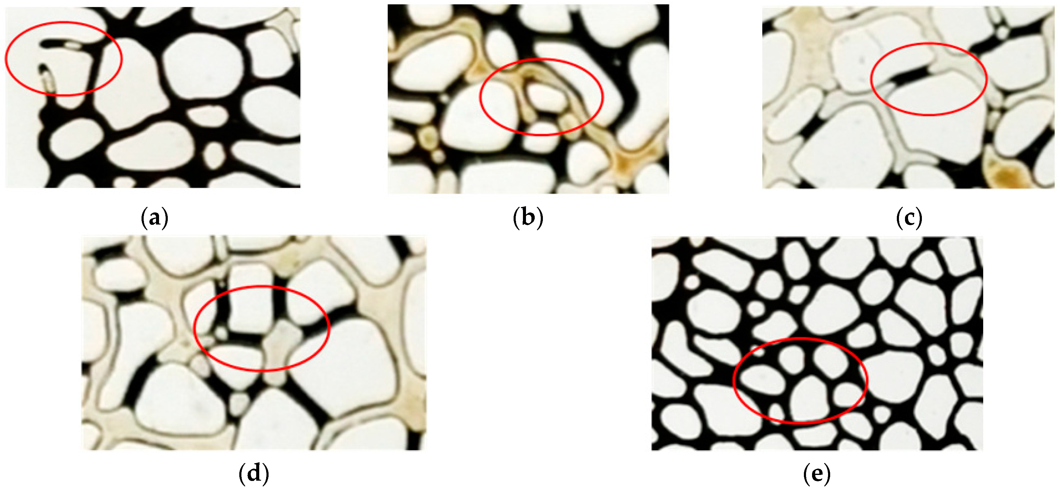 Processes 12 02281 g008