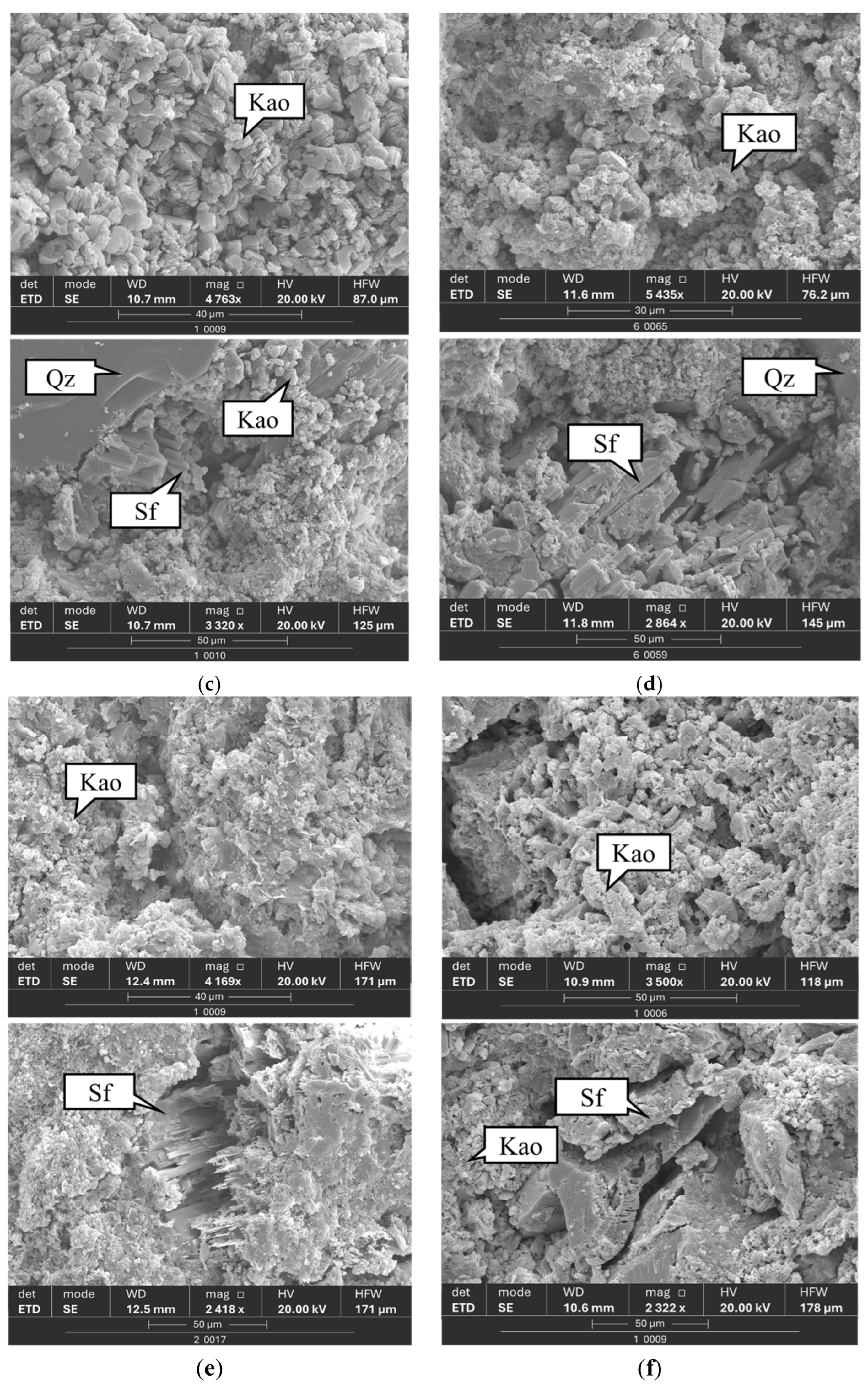 Processes 12 02317 g005b