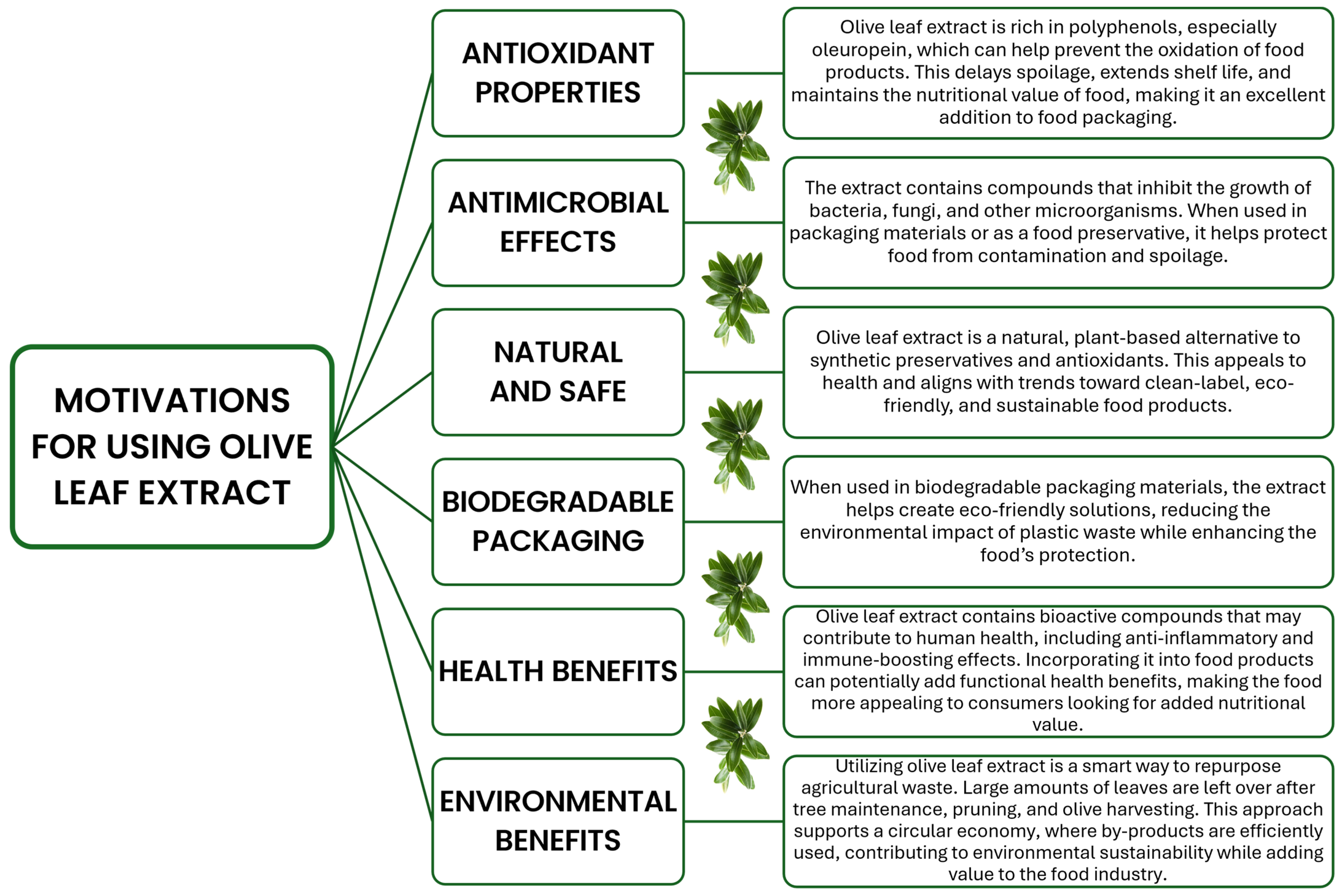Processes 12 02329 g001