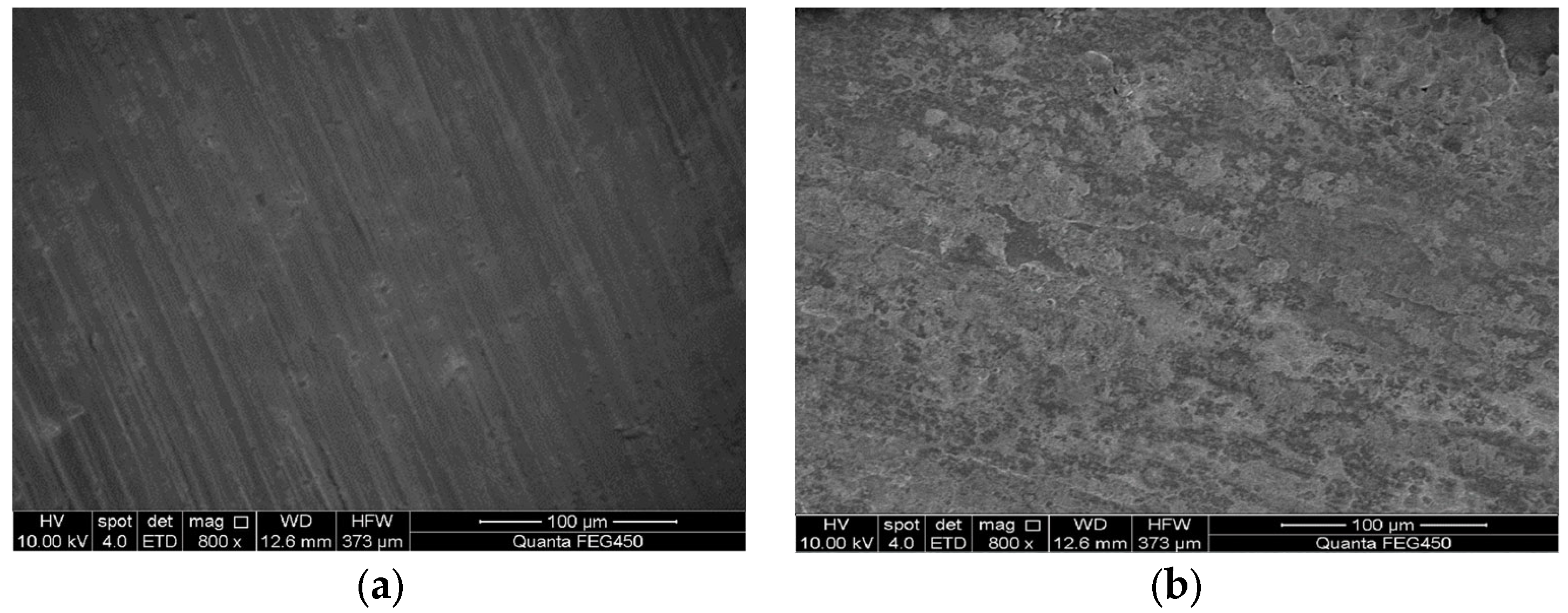 Processes 12 02338 g010