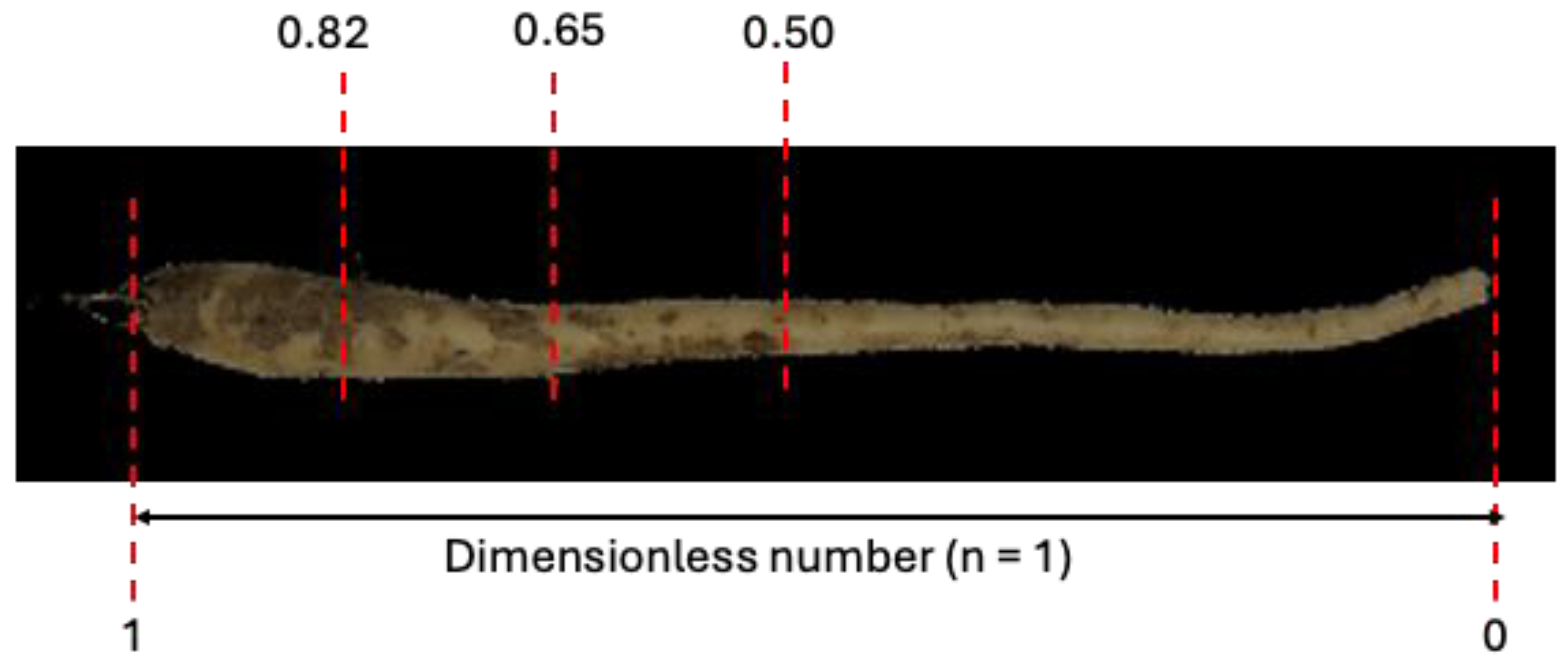 Processes 12 02347 g001