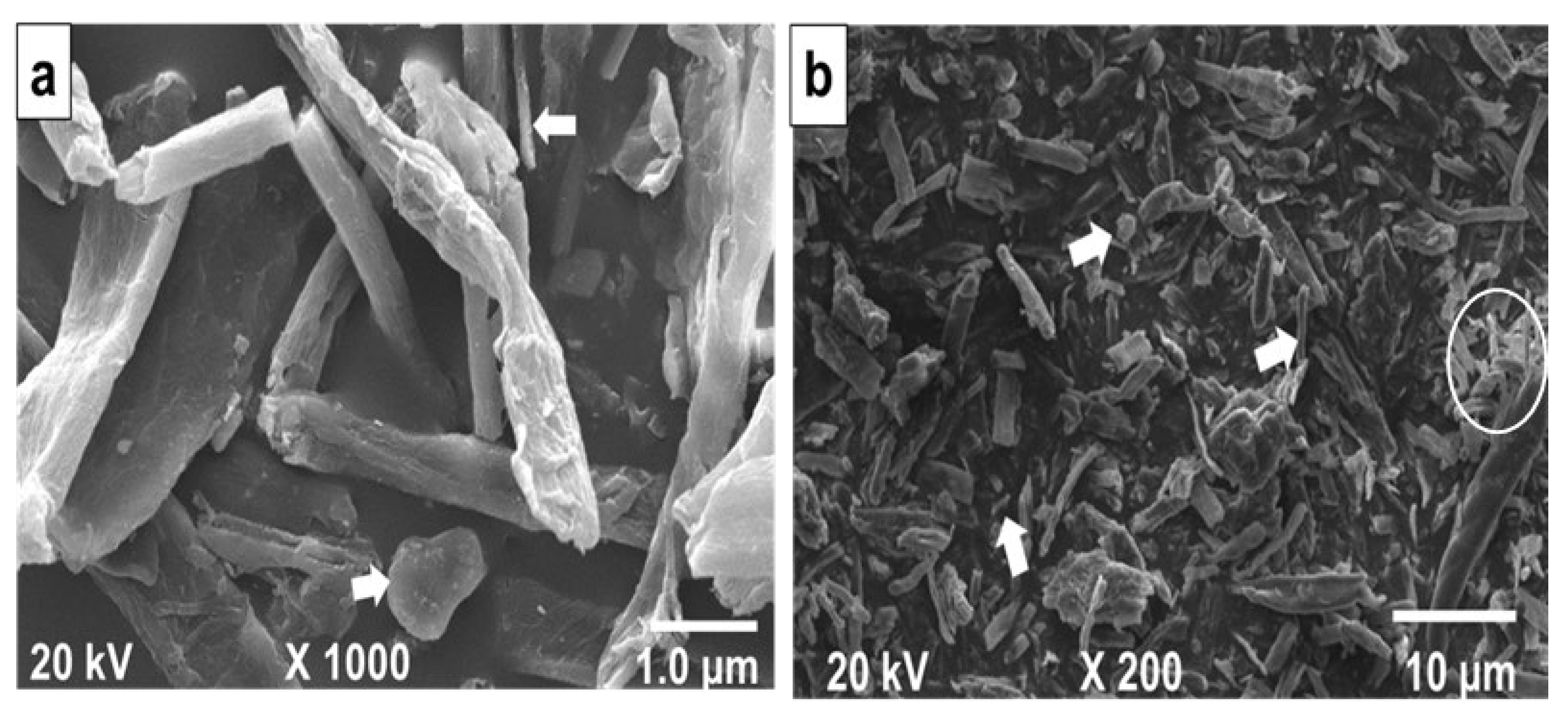 Processes 12 02350 g002