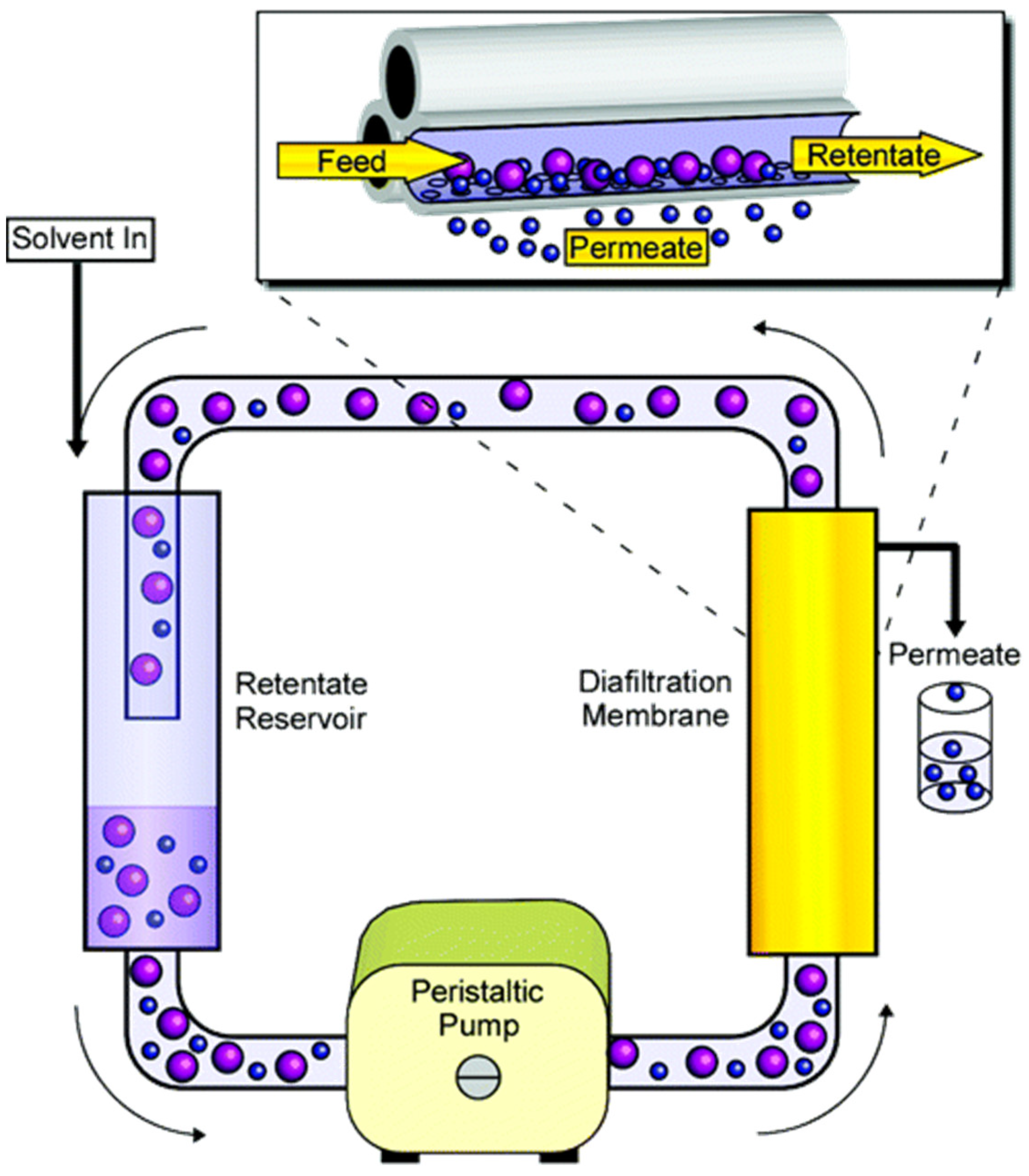 Processes 12 02354 g002
