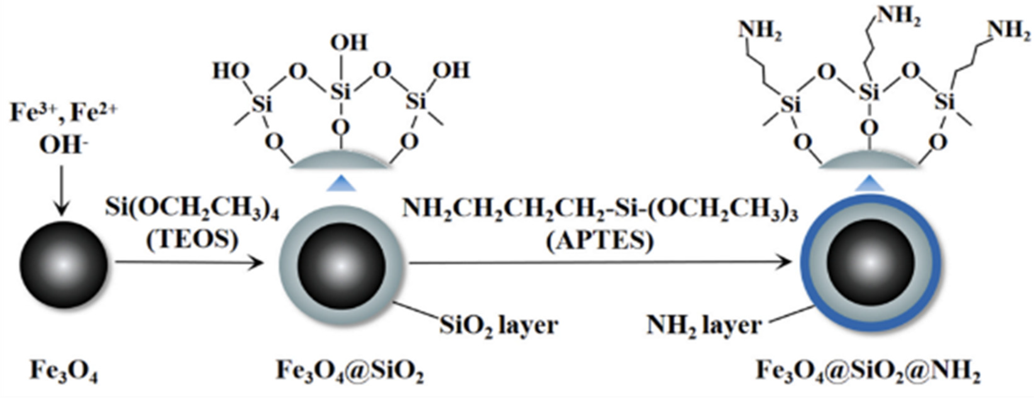 Processes 12 02354 g007