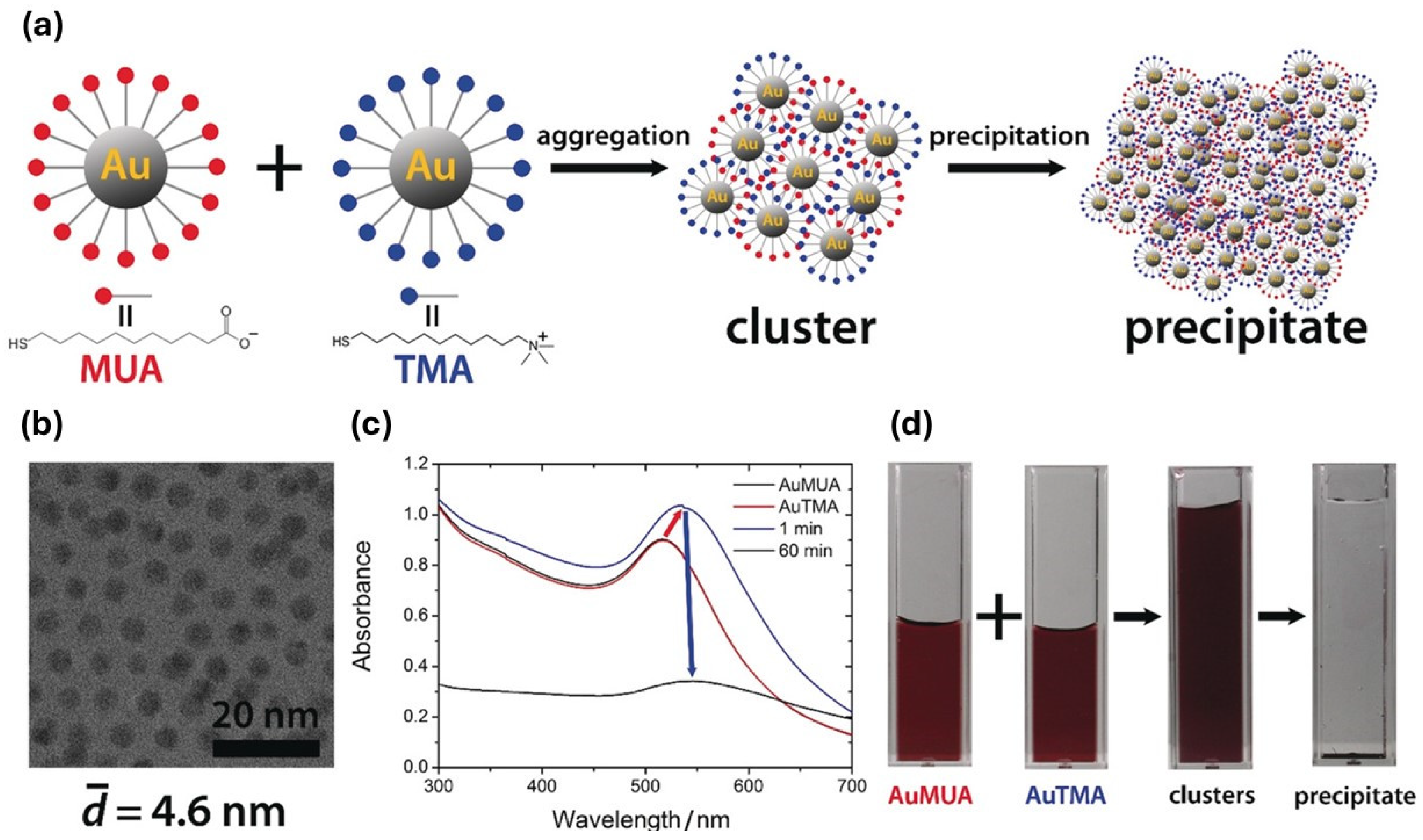 Processes 12 02354 g010