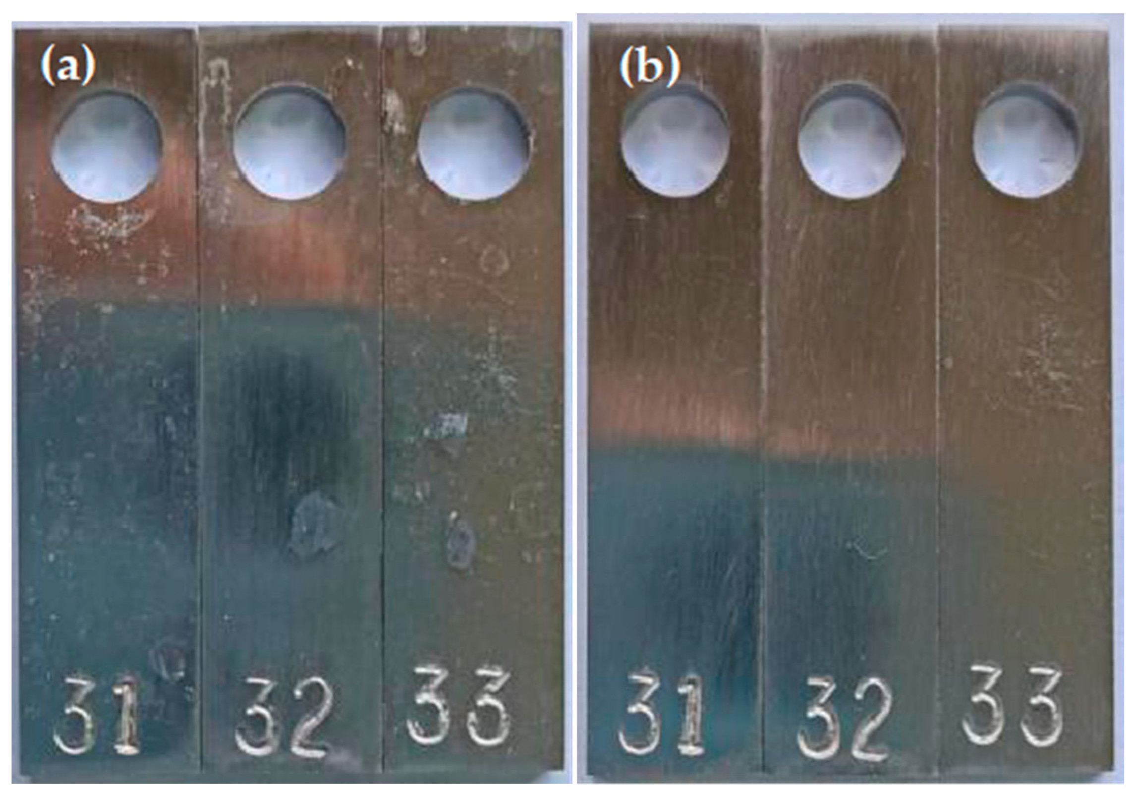 Processes 12 02372 g004