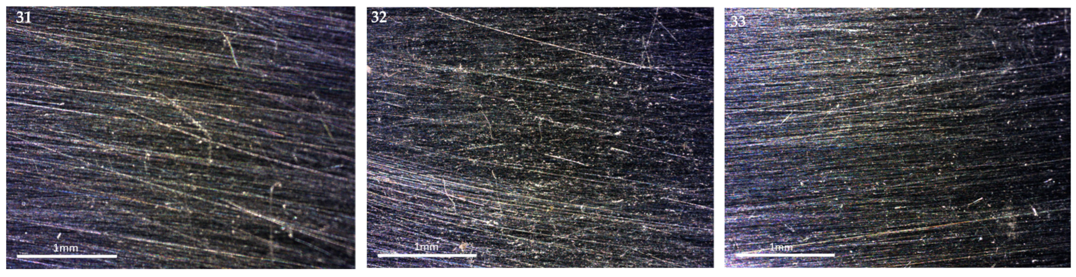 Processes 12 02372 g005