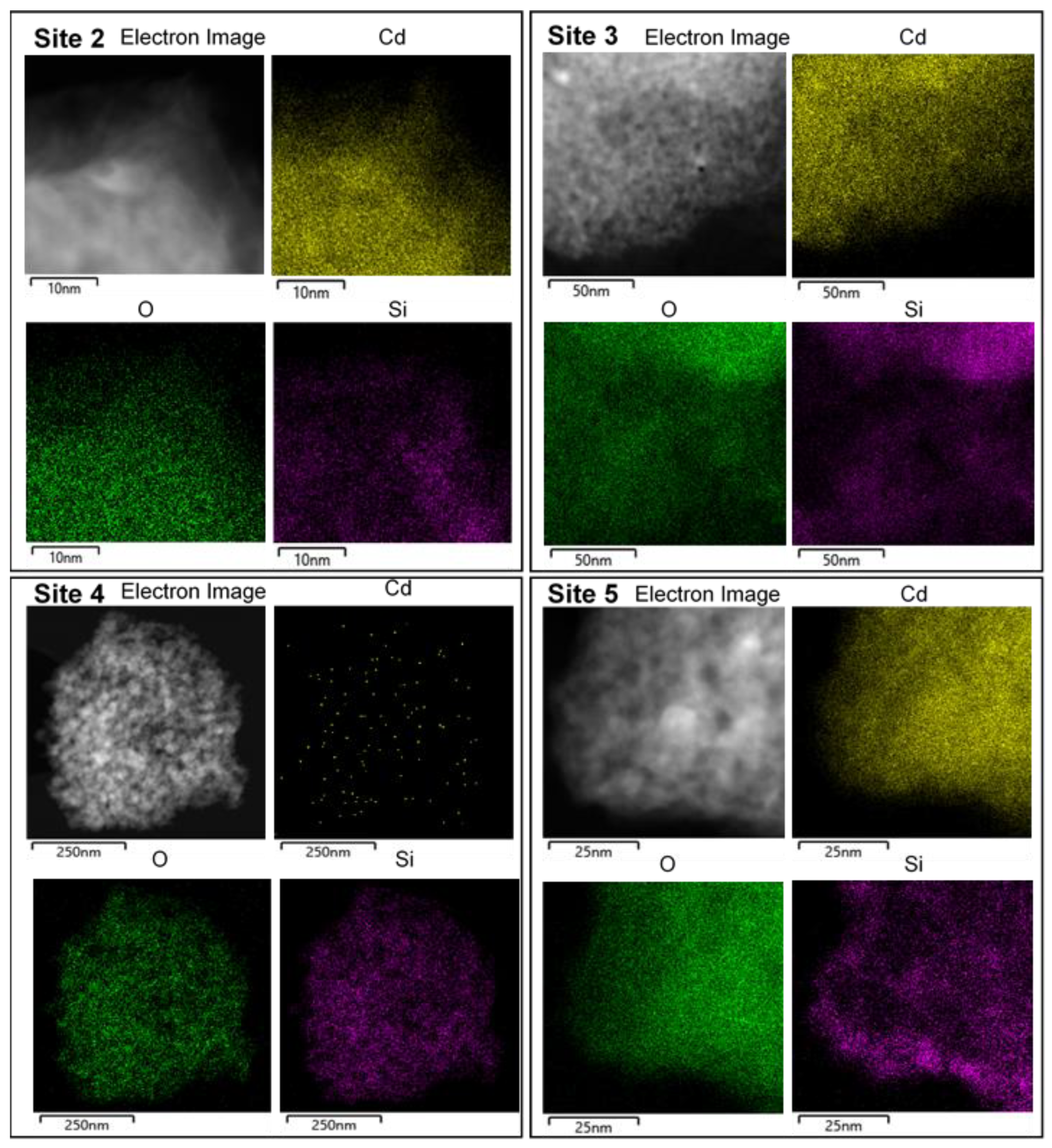 Processes 12 02420 g013