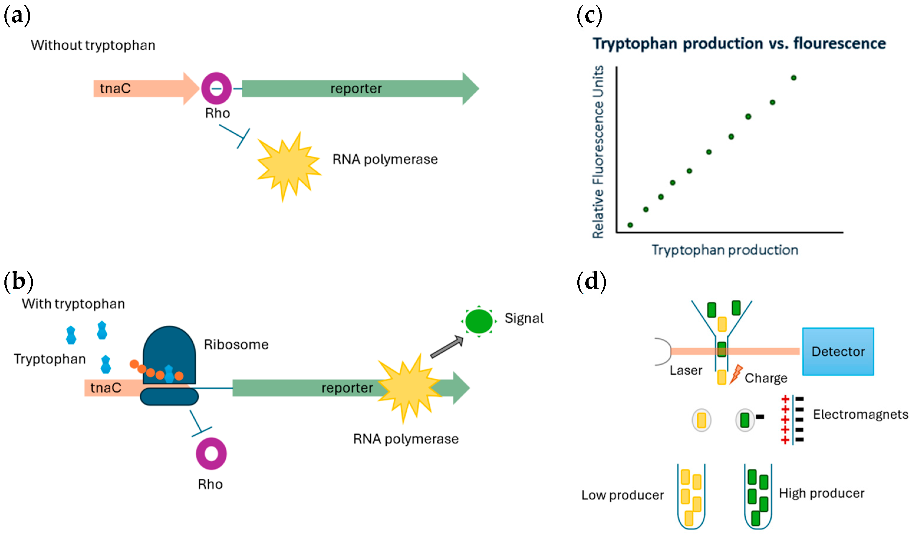 Processes 12 02422 g001