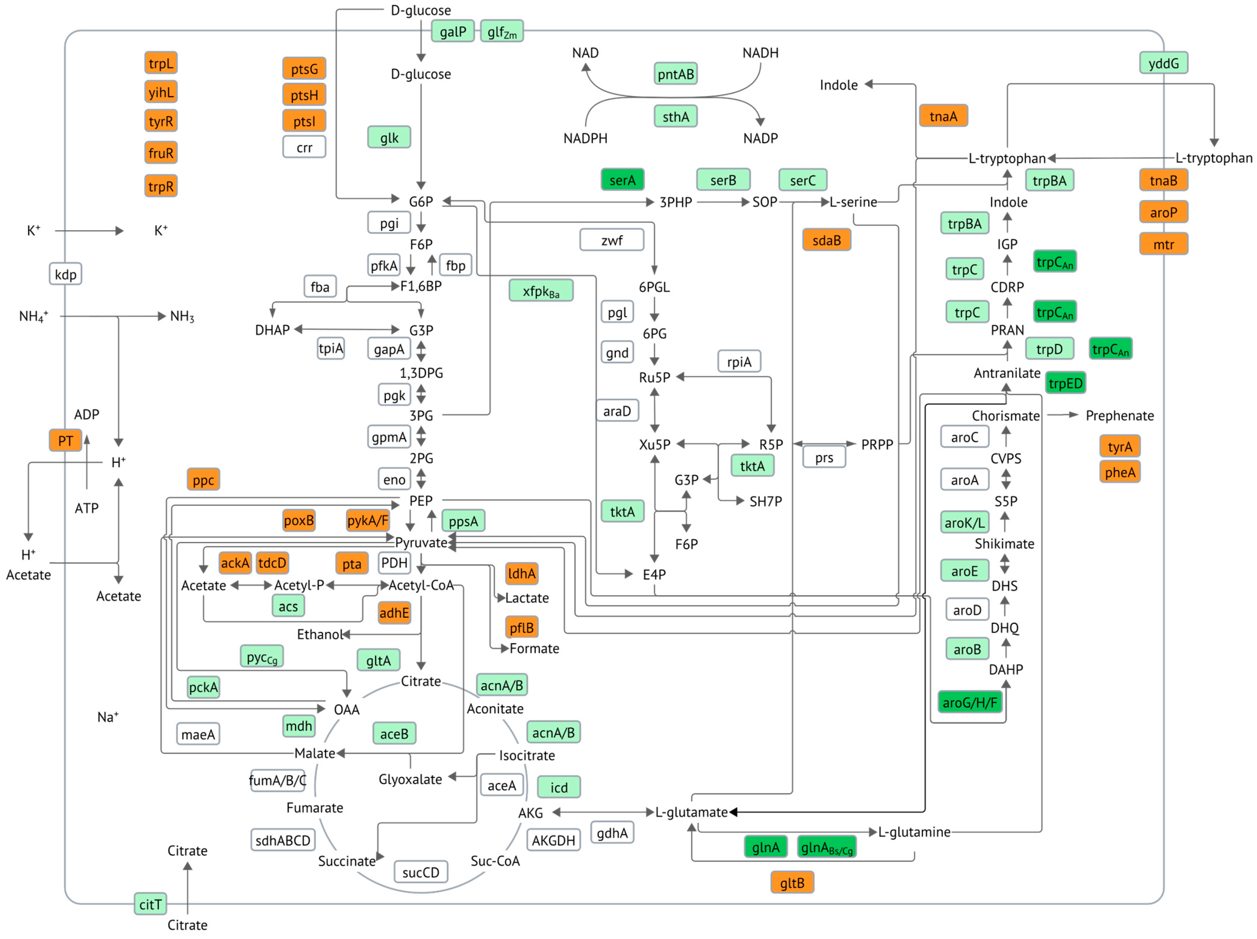 Processes 12 02422 g002