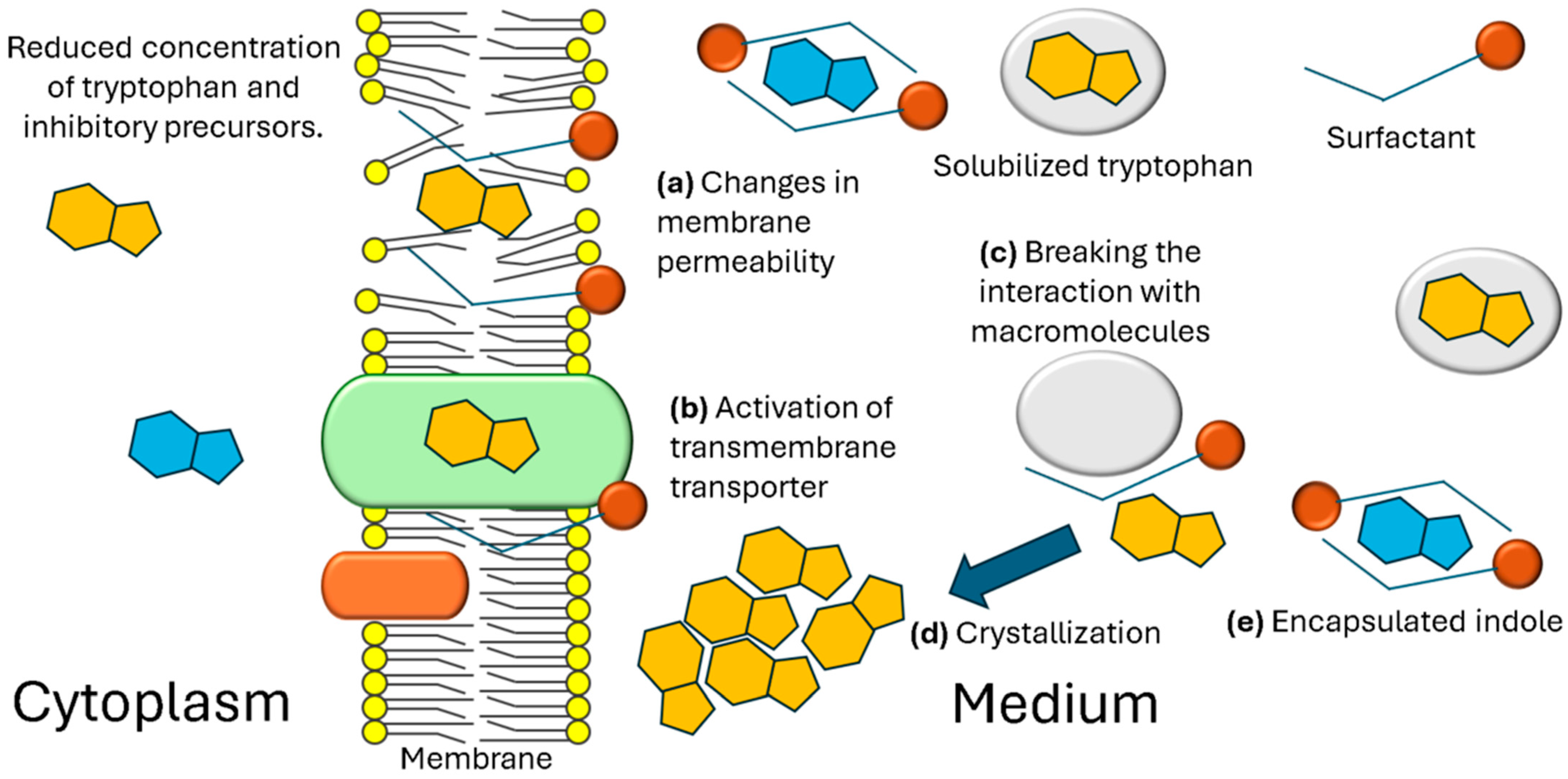 Processes 12 02422 g006