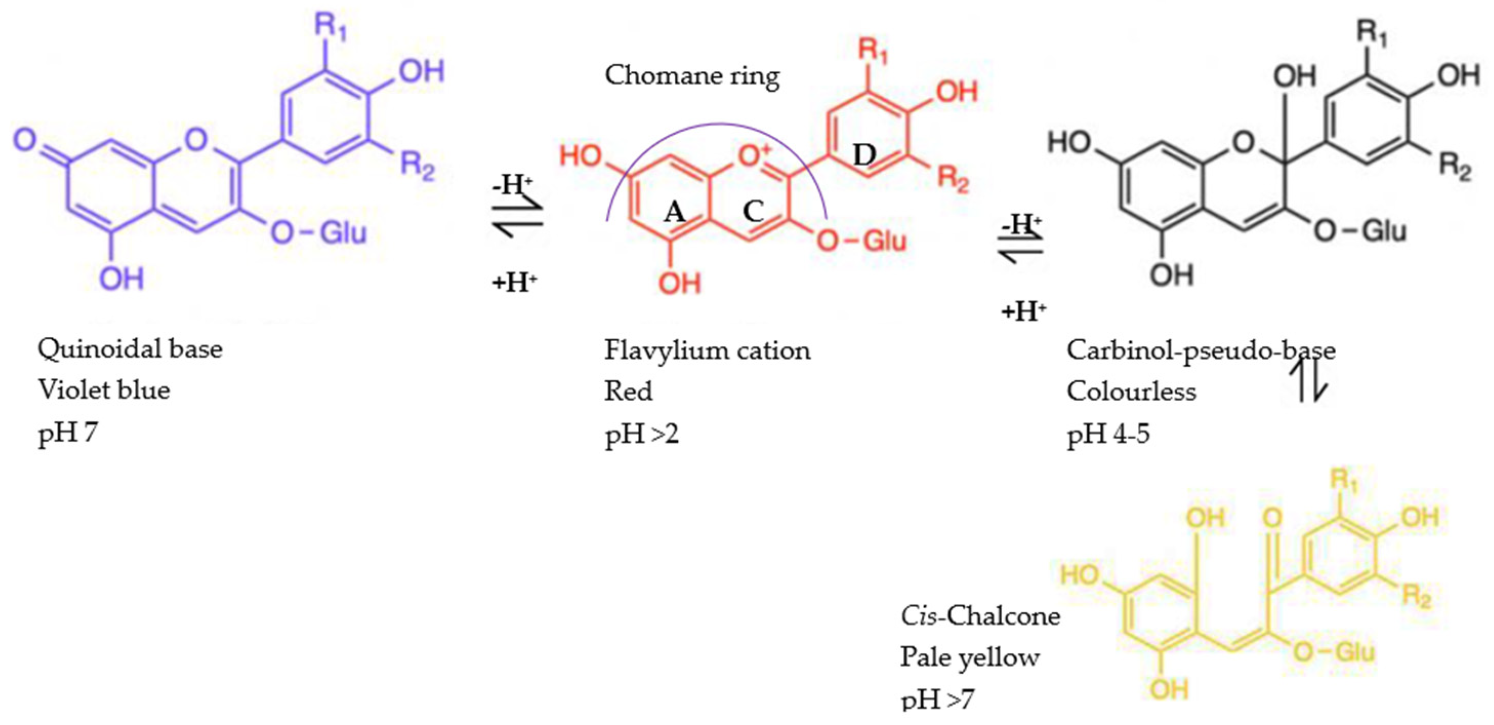 Processes 12 02444 g002