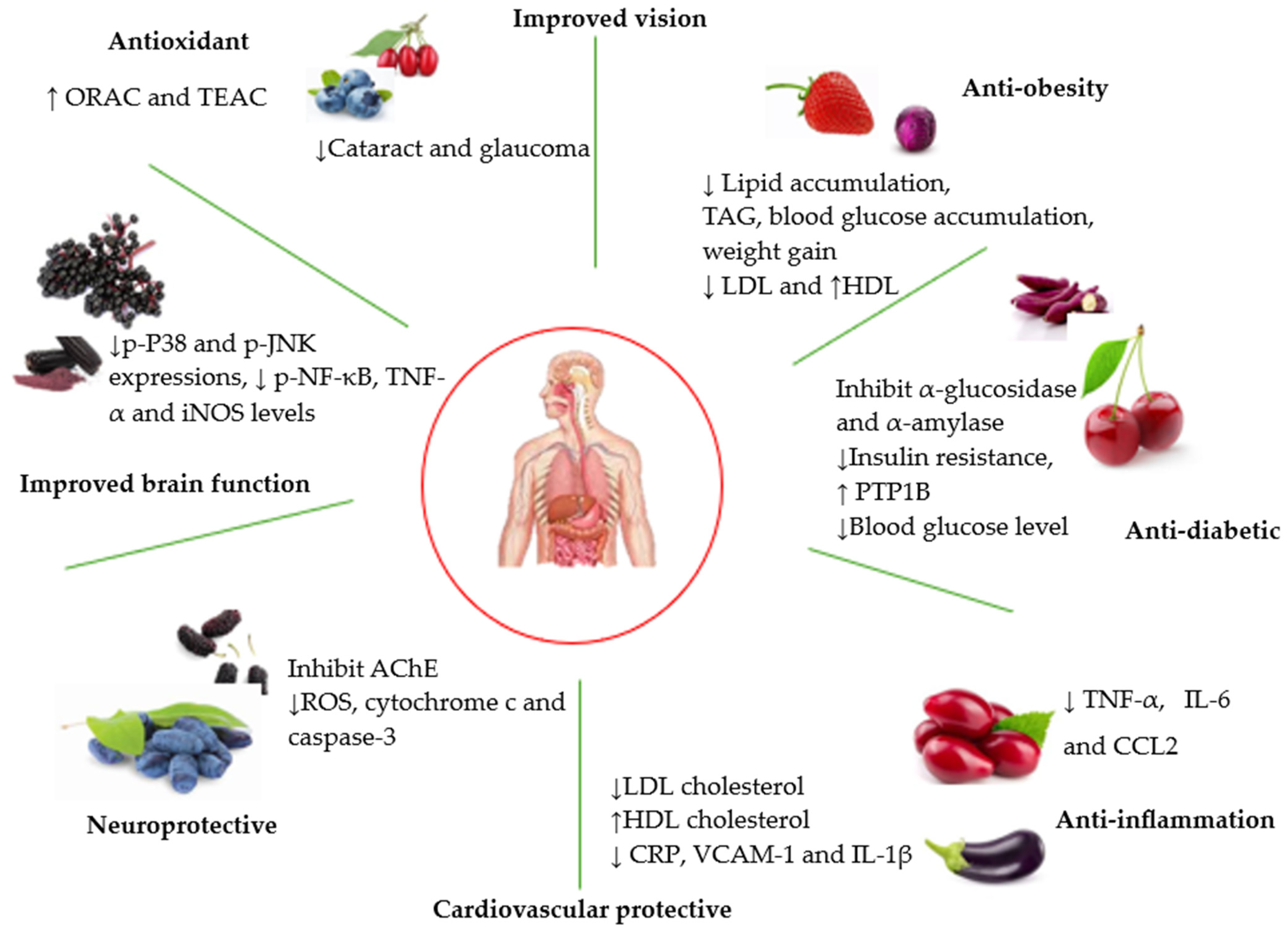 Processes 12 02444 g003