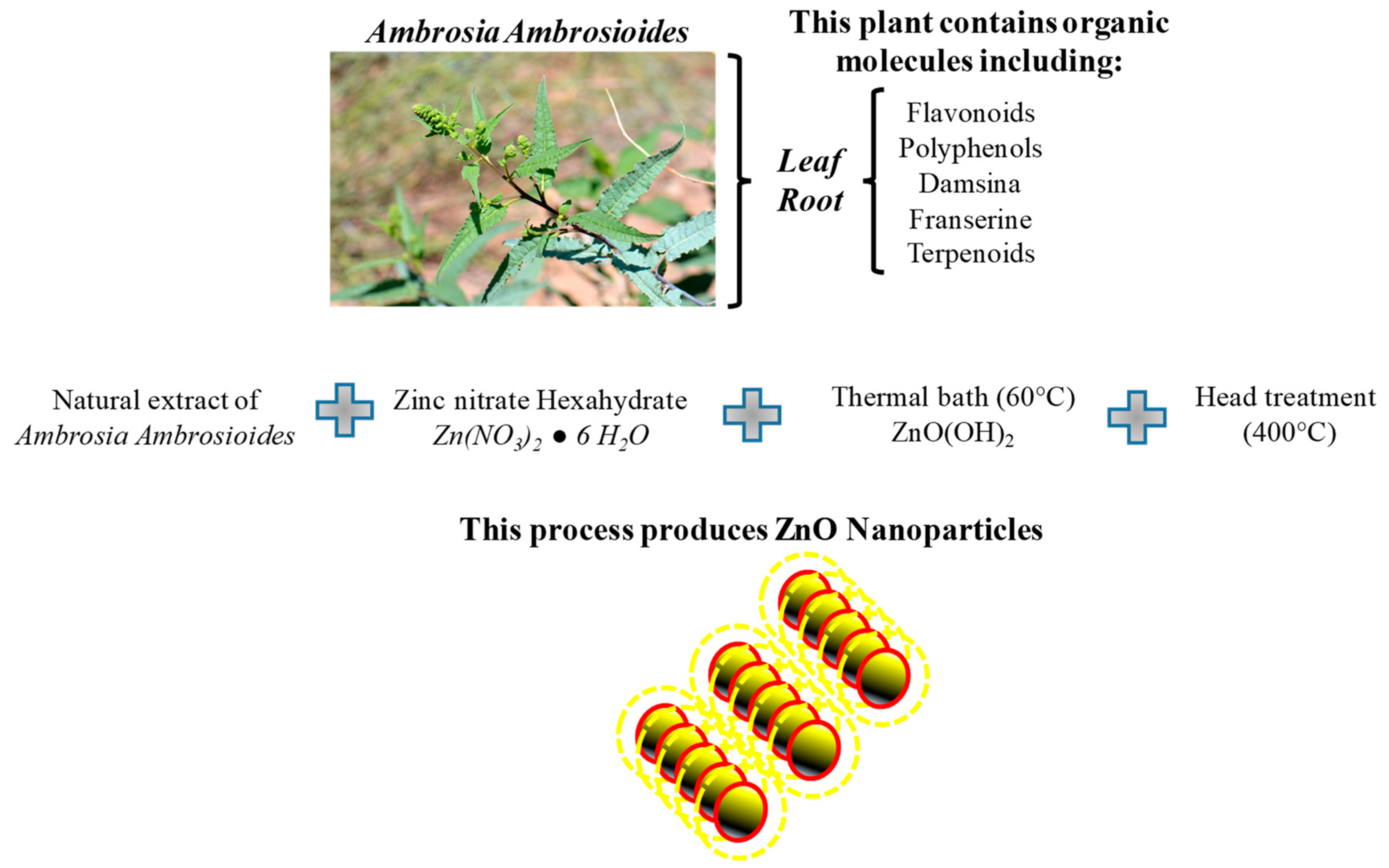 Processes 12 02456 g009