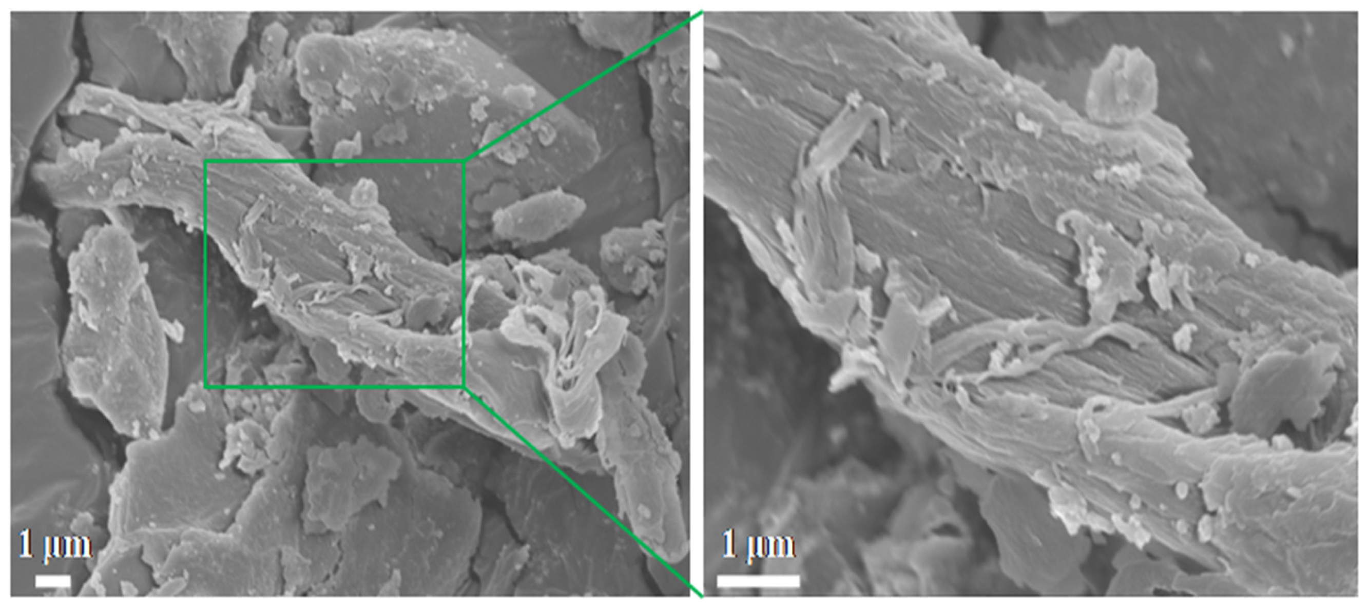 Processes 12 02458 g004