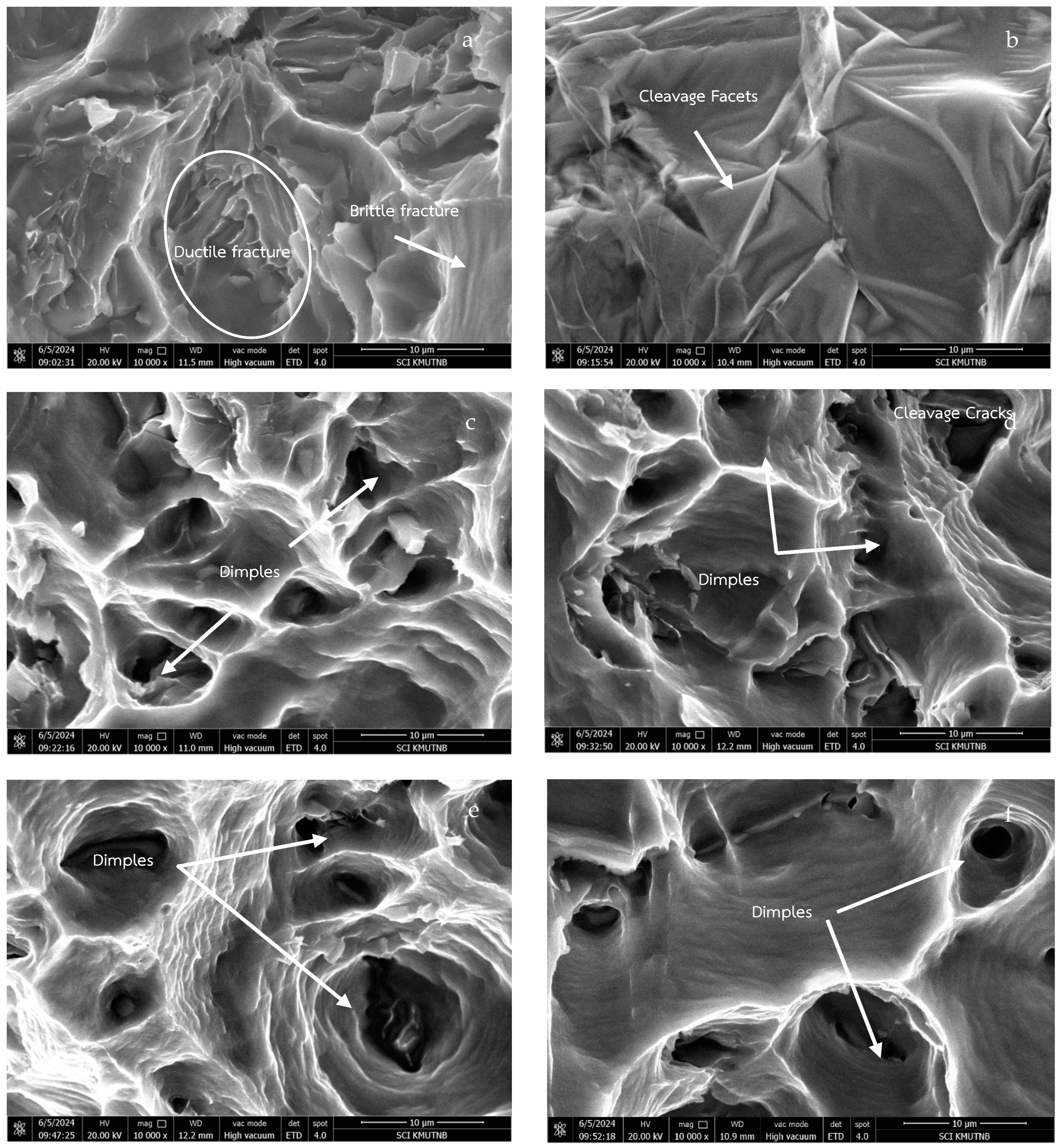 Processes 12 02464 g003 Processes 12 02464 g003